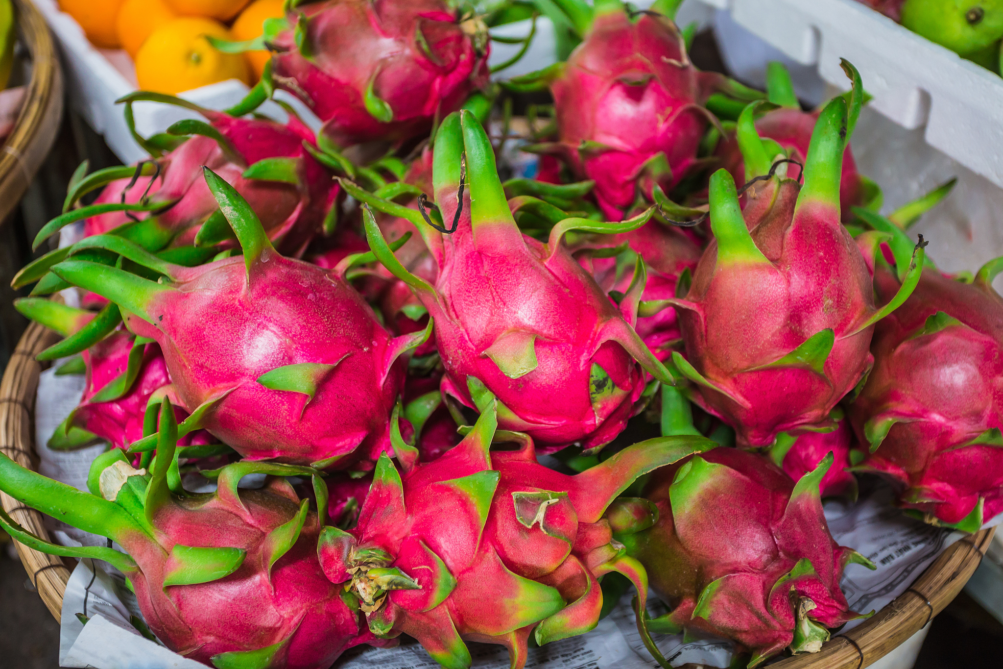 fruit dragon, pitaya (geow mangon)