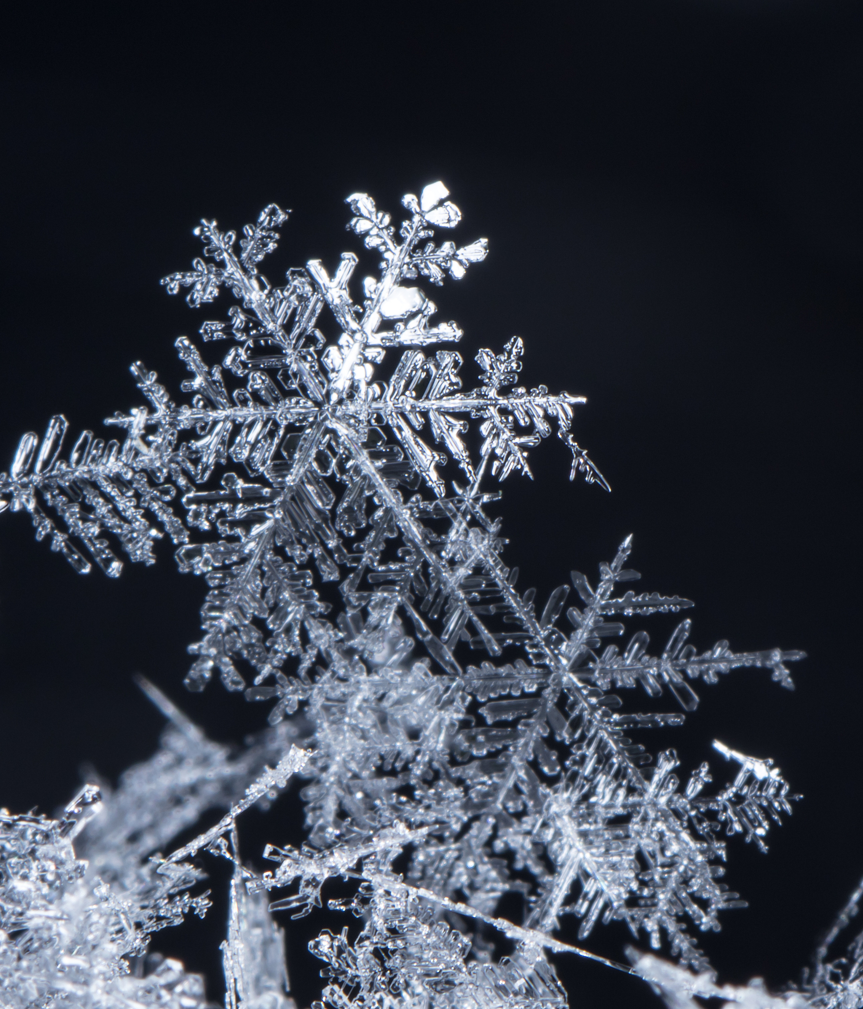 Java 图片落雪效果代码示例 - 在图片上模拟降雪