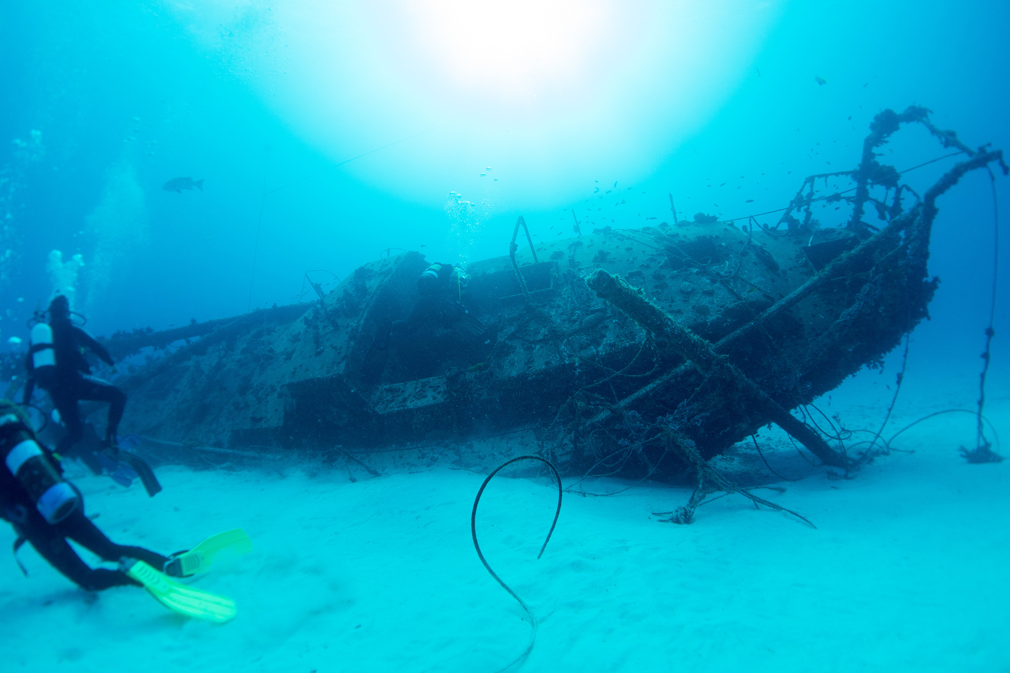 the severance wreck at lady elliot island