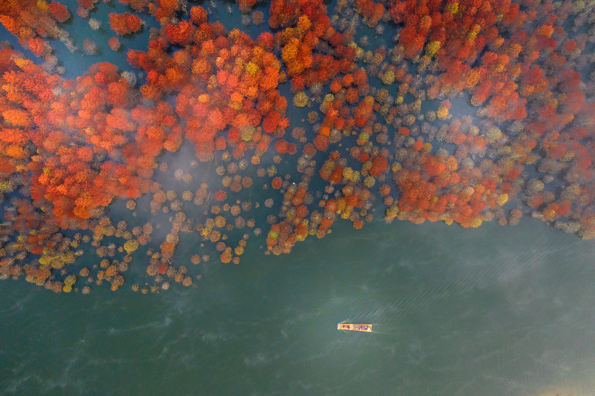 东北大学实力：学科、科研、教育、国际化全面领先