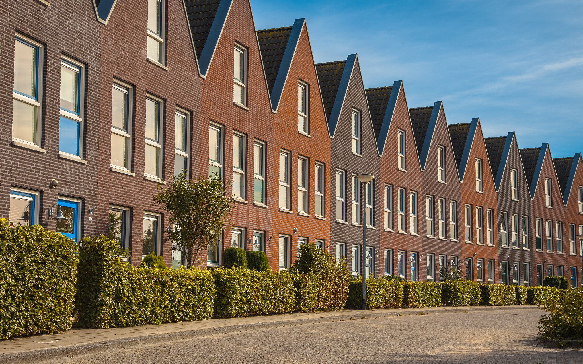 modern family houses in a row