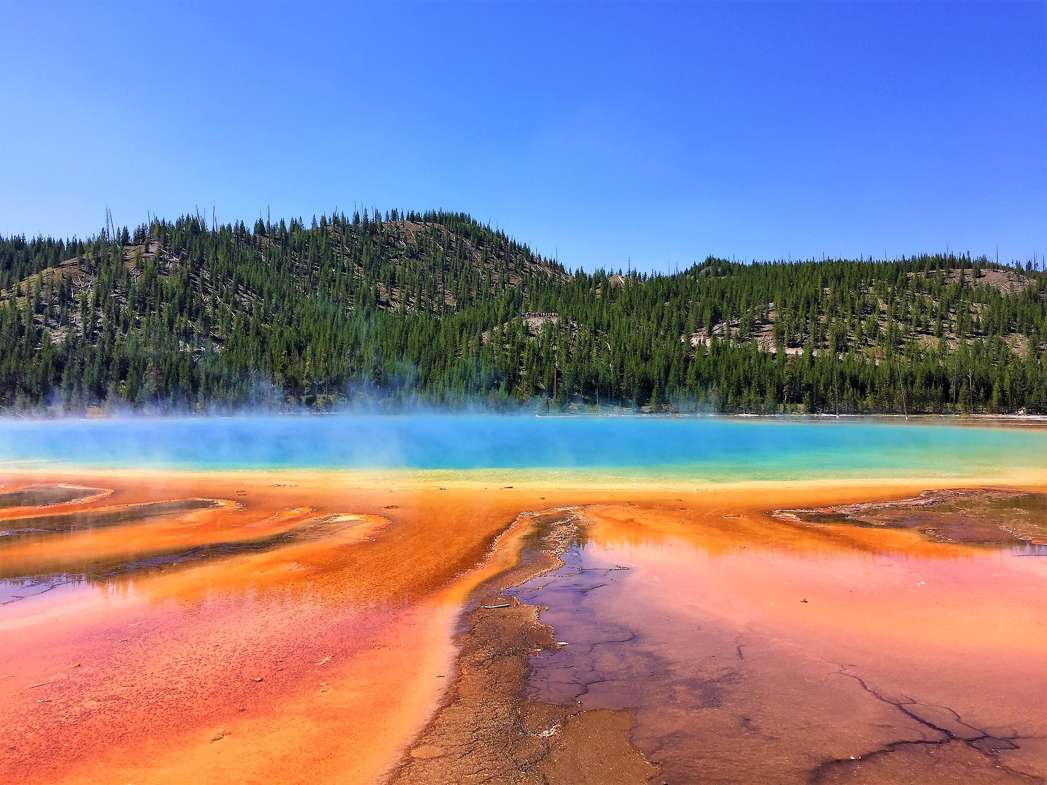 美国国家公园之旅：探索自然奇观，感受大自然魅力