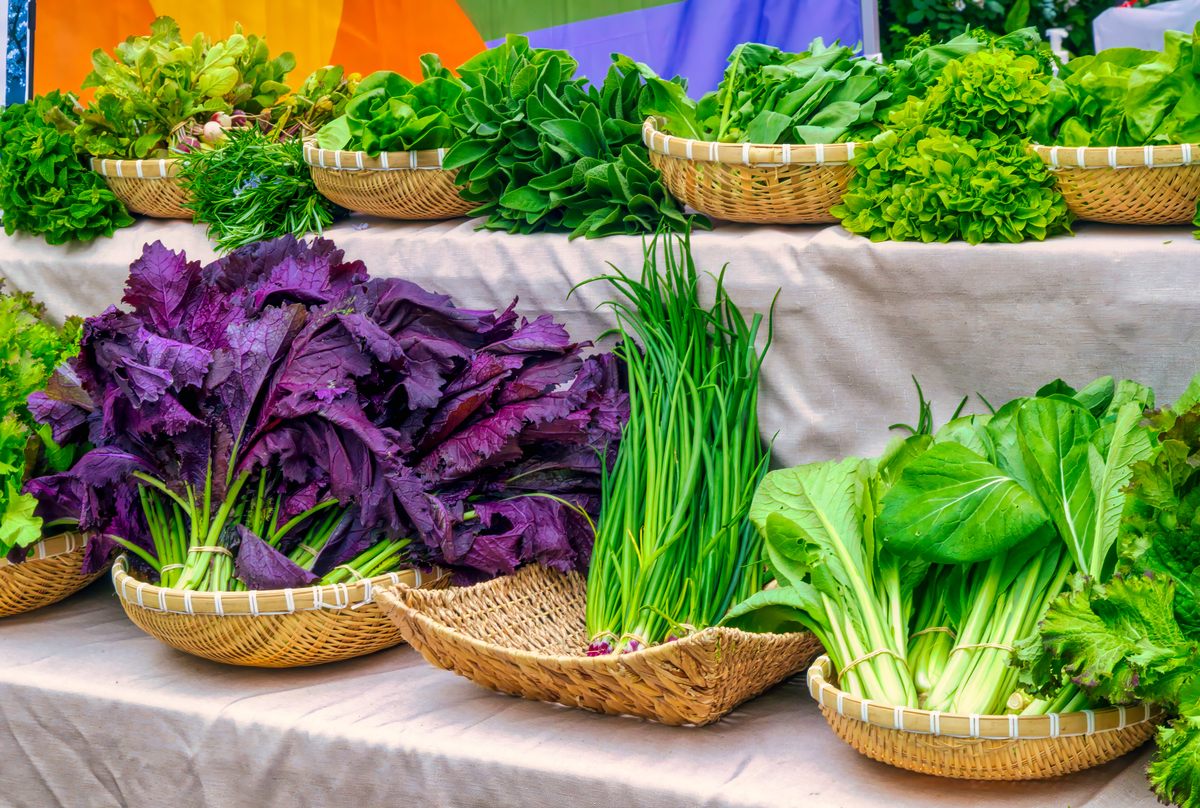 苋菜怎么读和相关解释