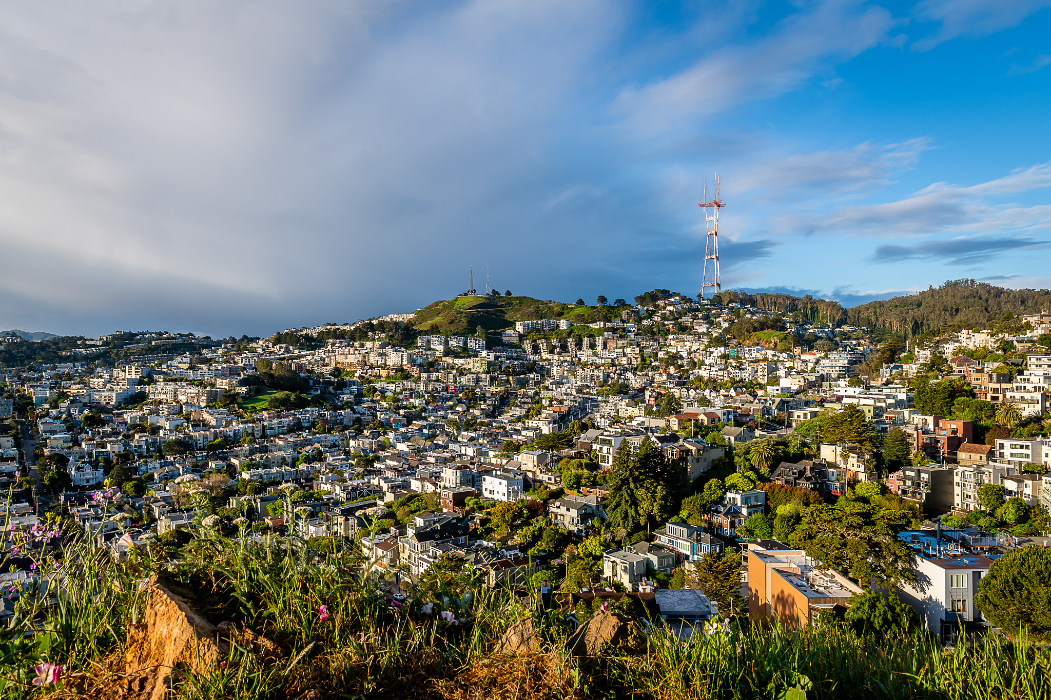 early morning from corona heights park