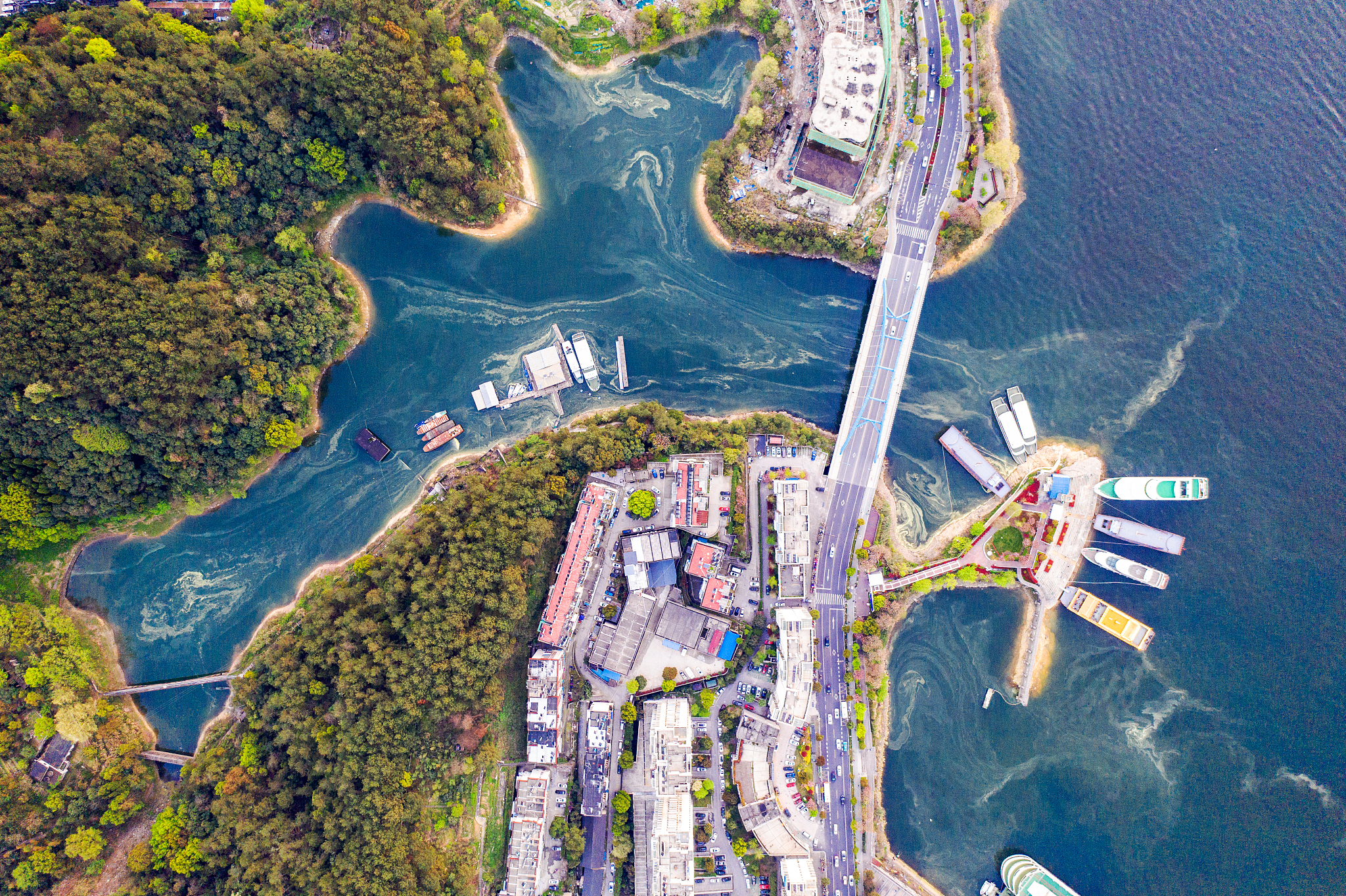 浅析重庆水文化：传承与发展