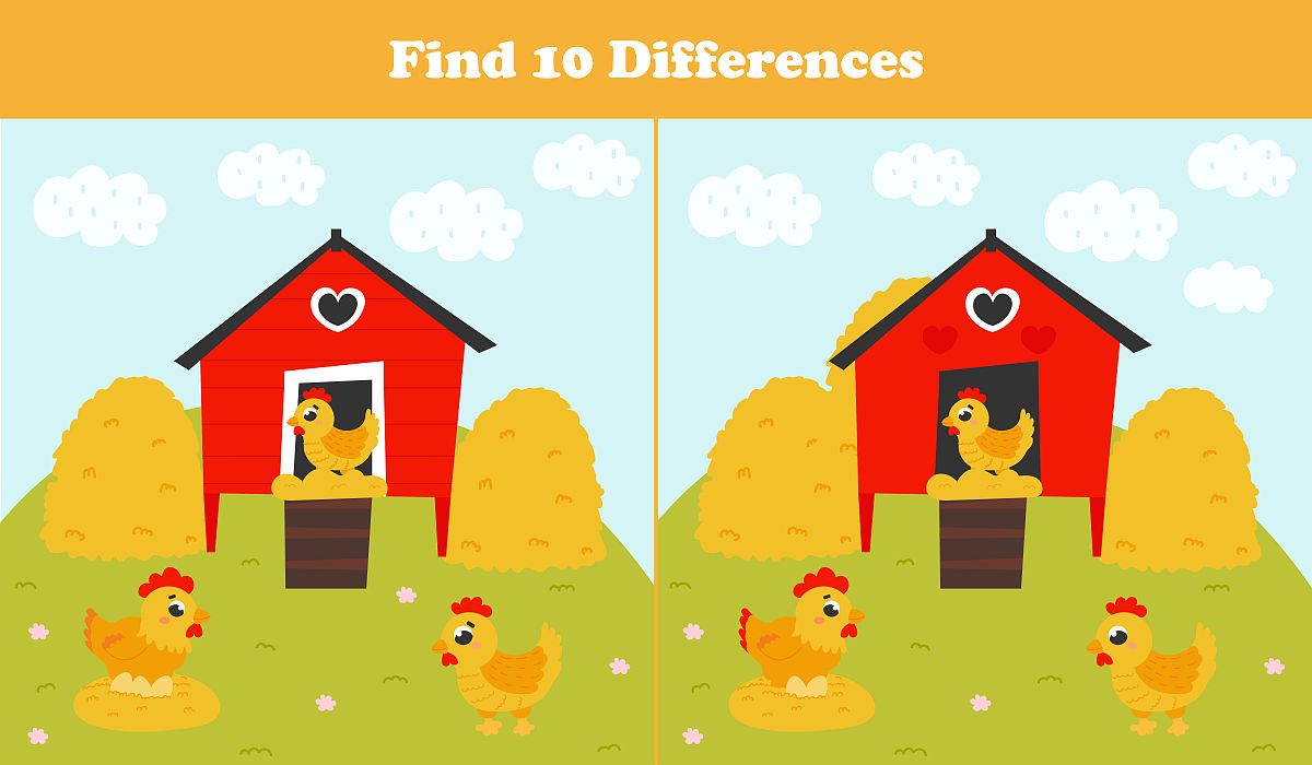 宝刚是籯金猜一动物 - 答案揭晓！