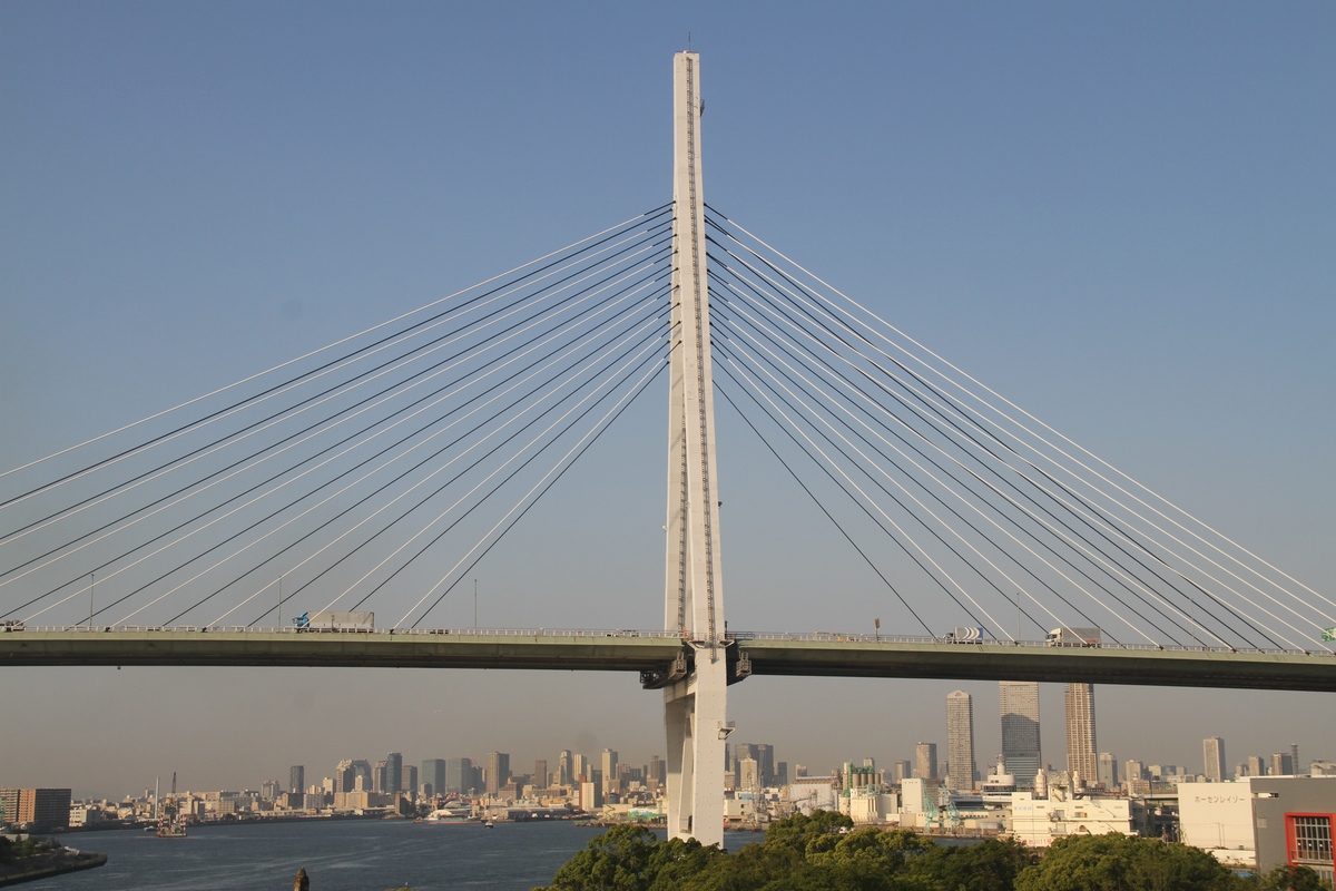 武汉有很多桥请你对在武汉横跨长江的所有大桥从使用情况的方面对武汉的桥进行汇总报告并从多个角度表达你对家乡武汉的热爱不少于3000字。