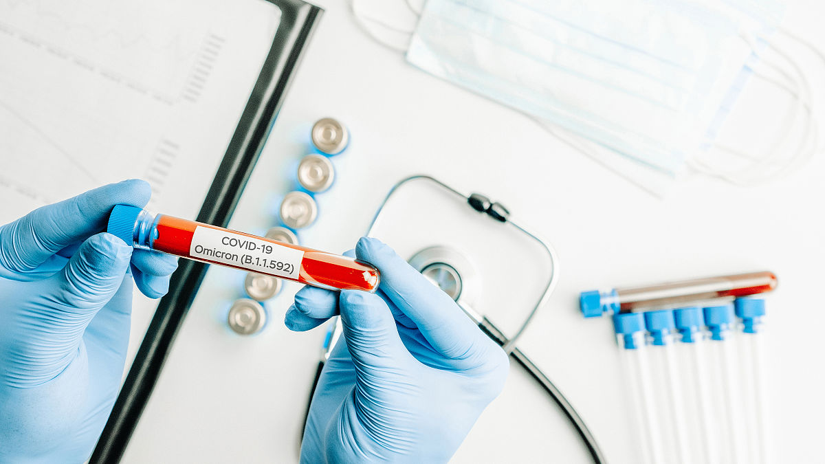 克隆传送门手游：开启时空穿越之旅！