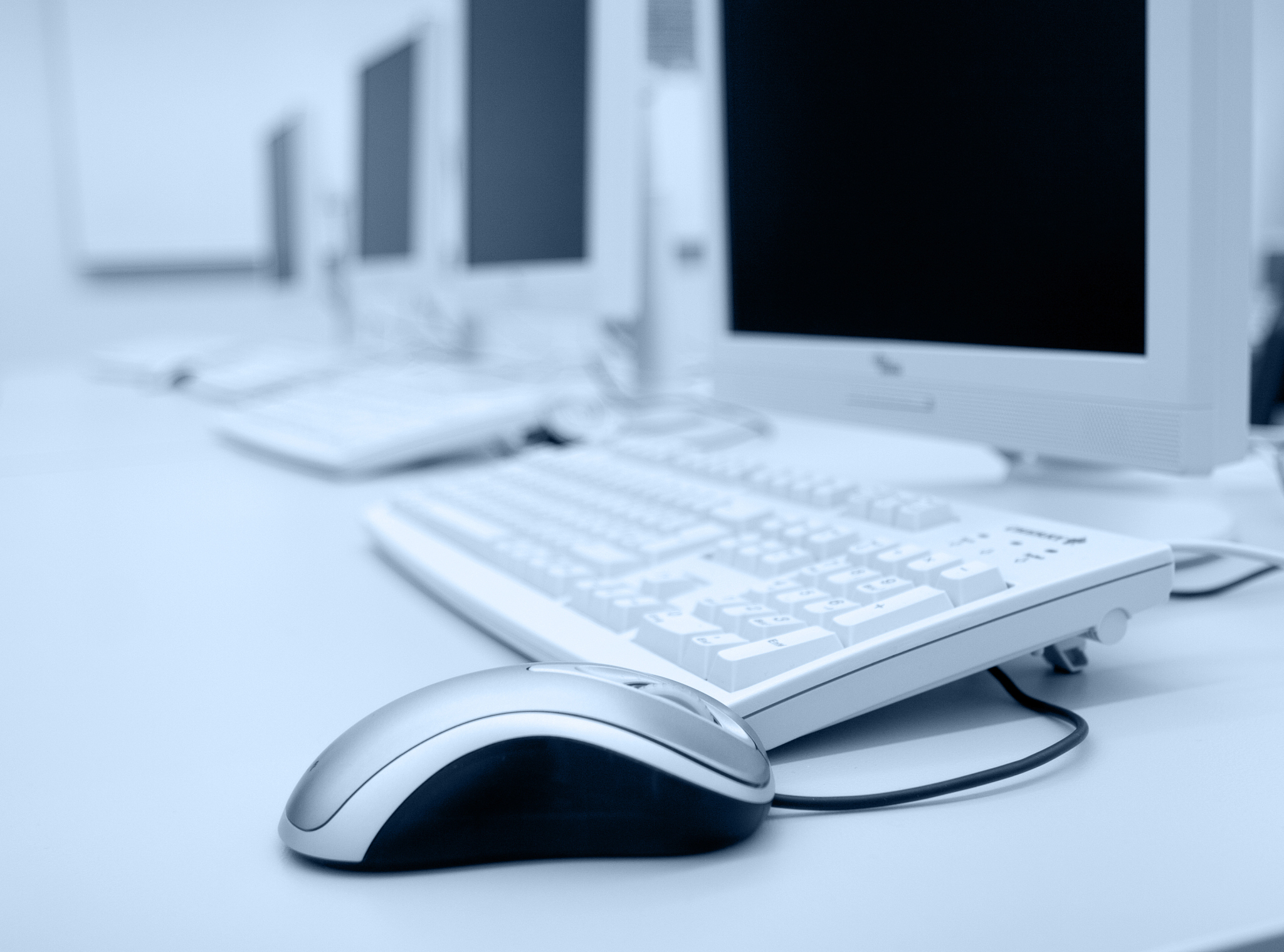 computer mouse