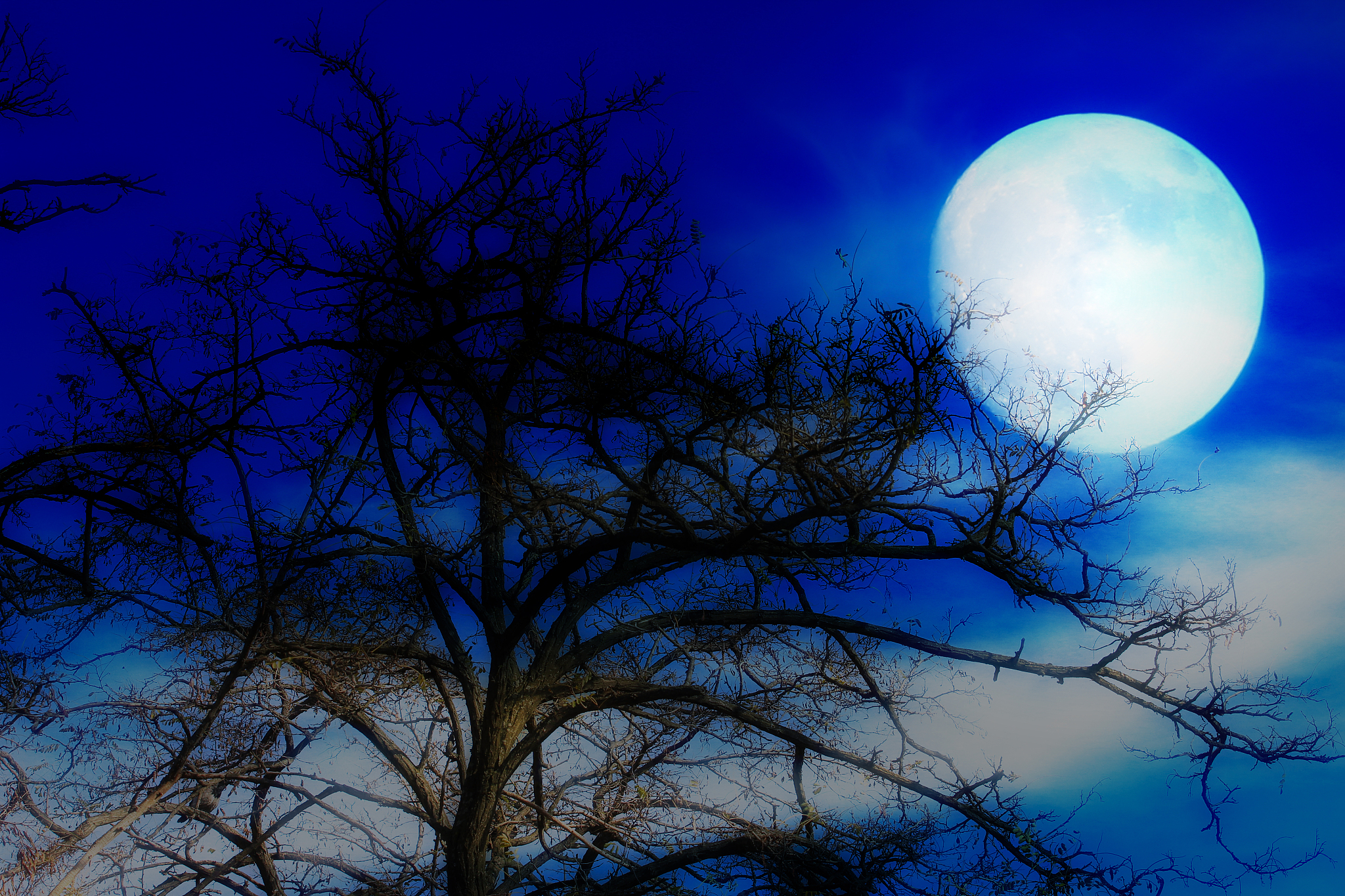 月空是什么意思