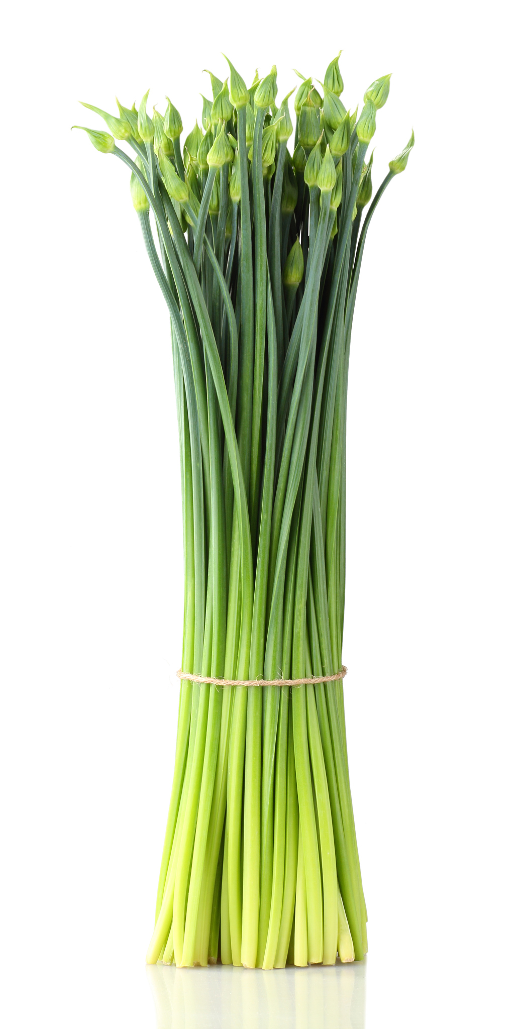 miku葱是什么意思