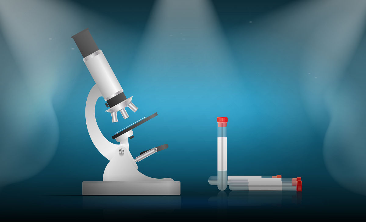 多媒体辅助英语词汇教学：研究内容与方法概述