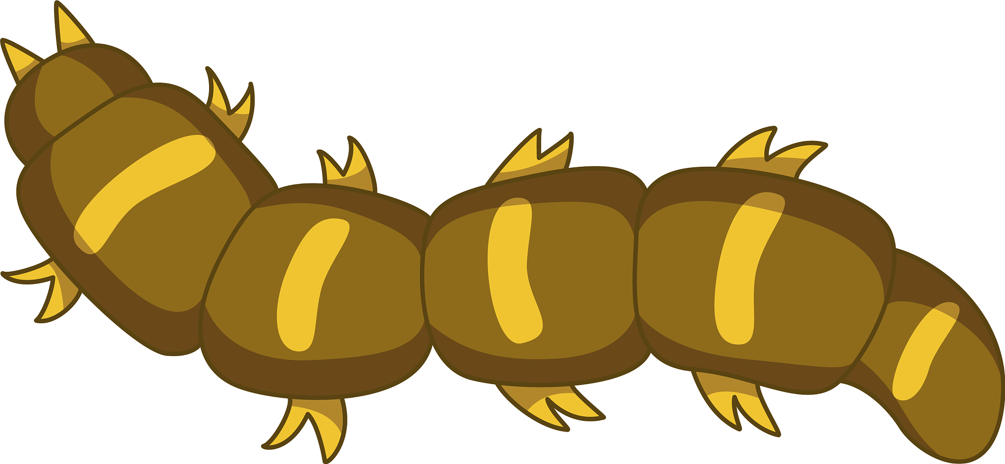 英语翻译：在整理核定角顶叶蝉亚科标本过程中