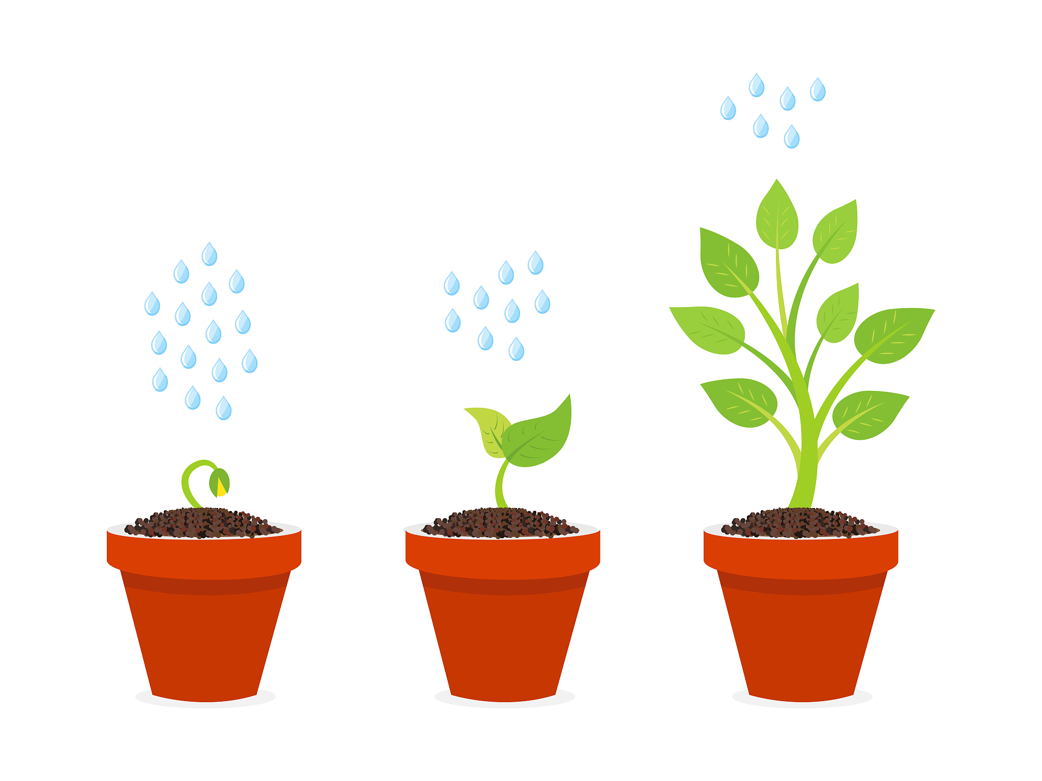 植物神经所需营养素：氮、磷、钾、镁、铁等