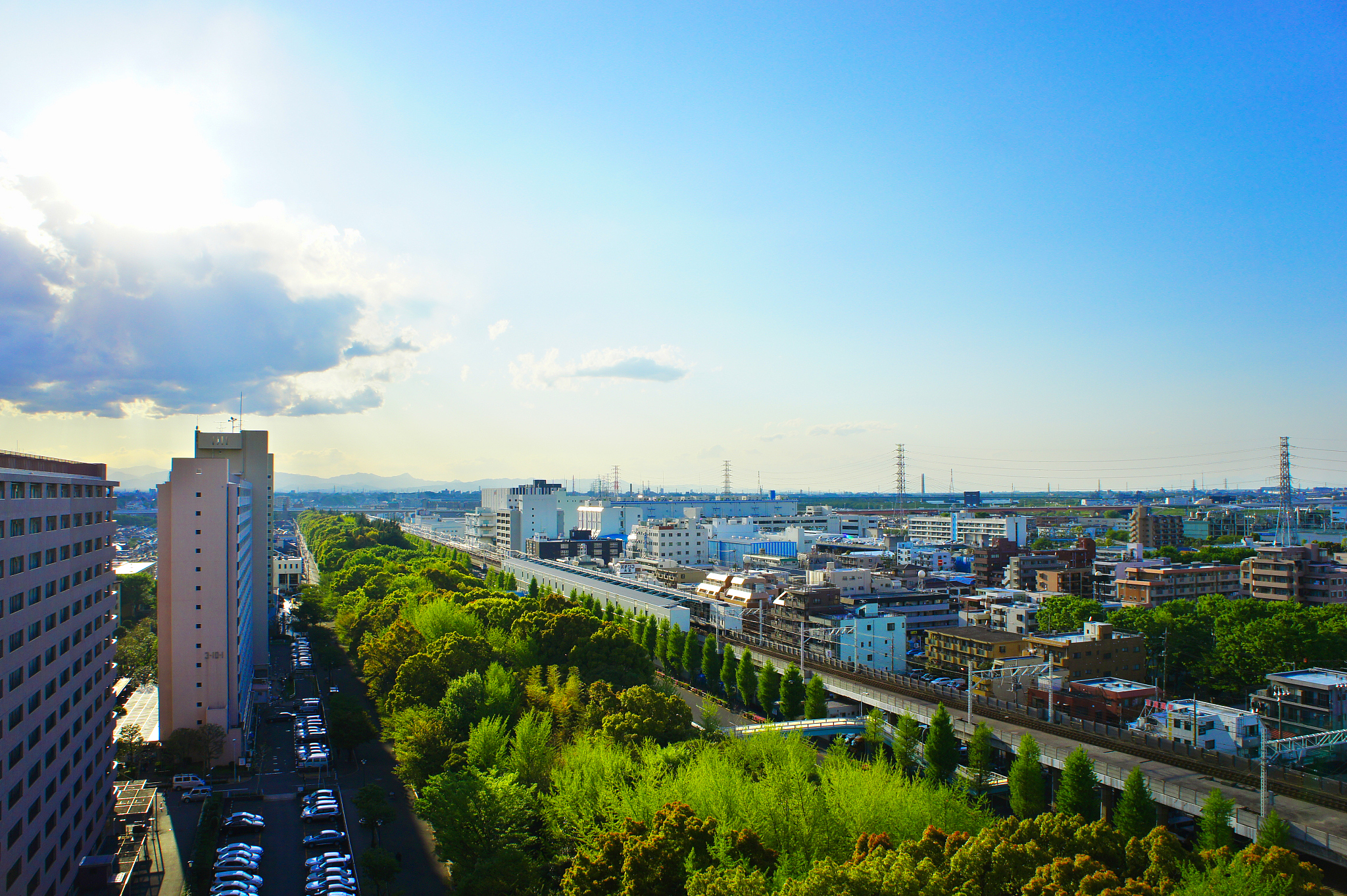 cityscape with green belt