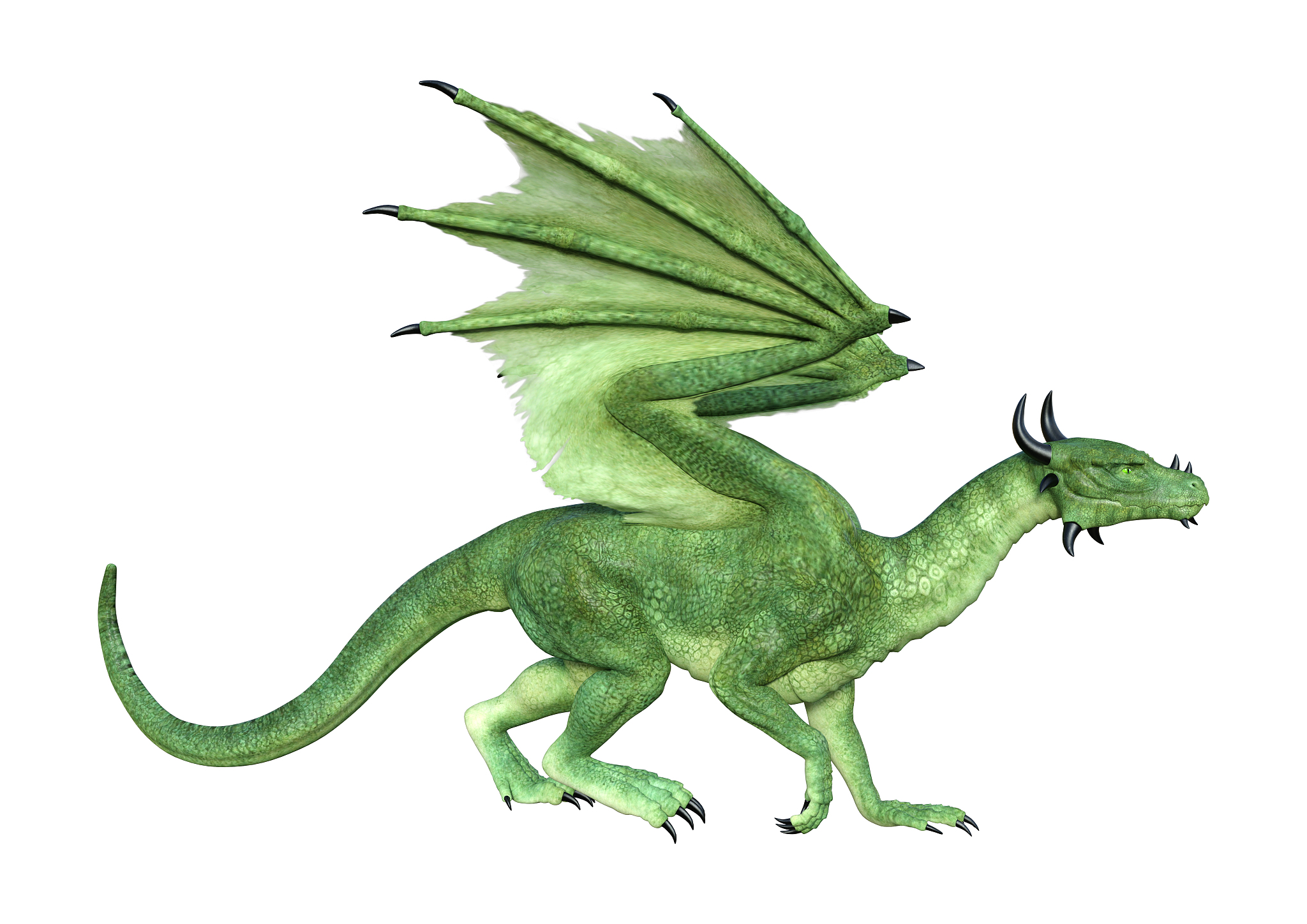 3d illustration fantasy dragon on white