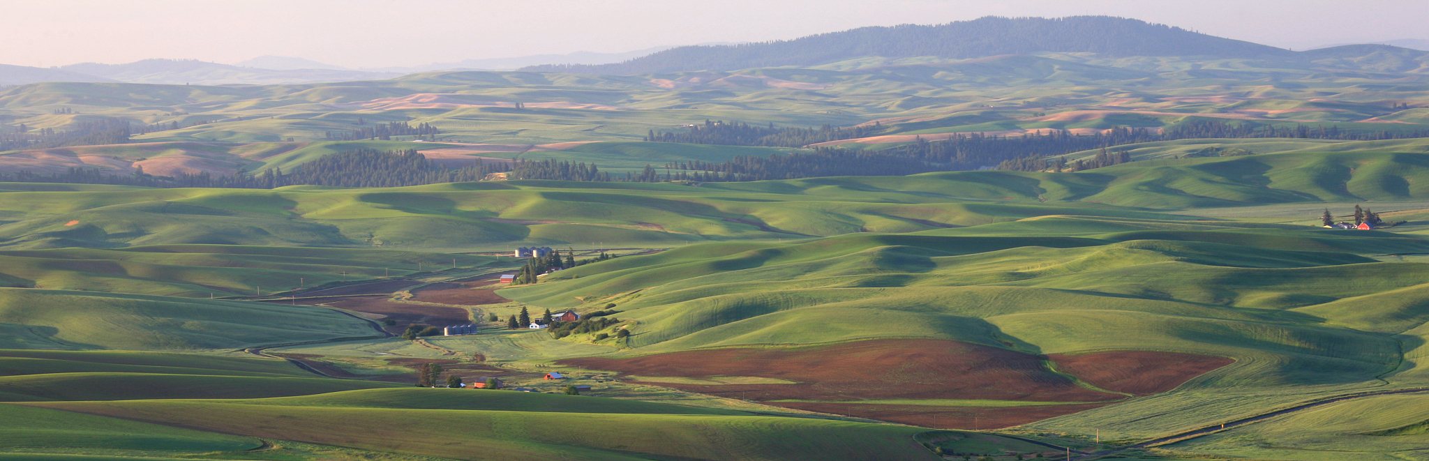 palouse panorama