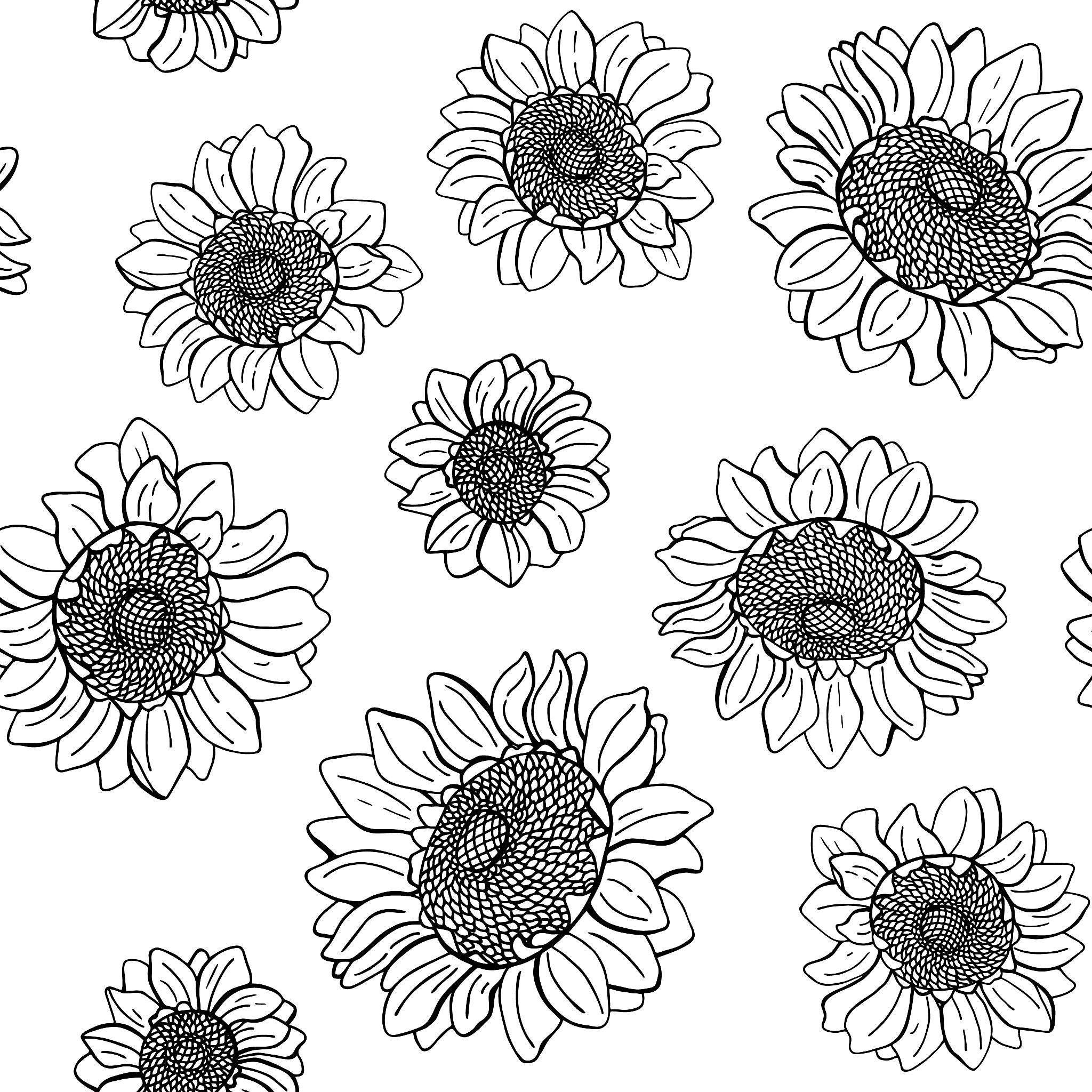 辽宁职业学院动物医学专业课程设置：涵盖动物解剖、病理、药理等