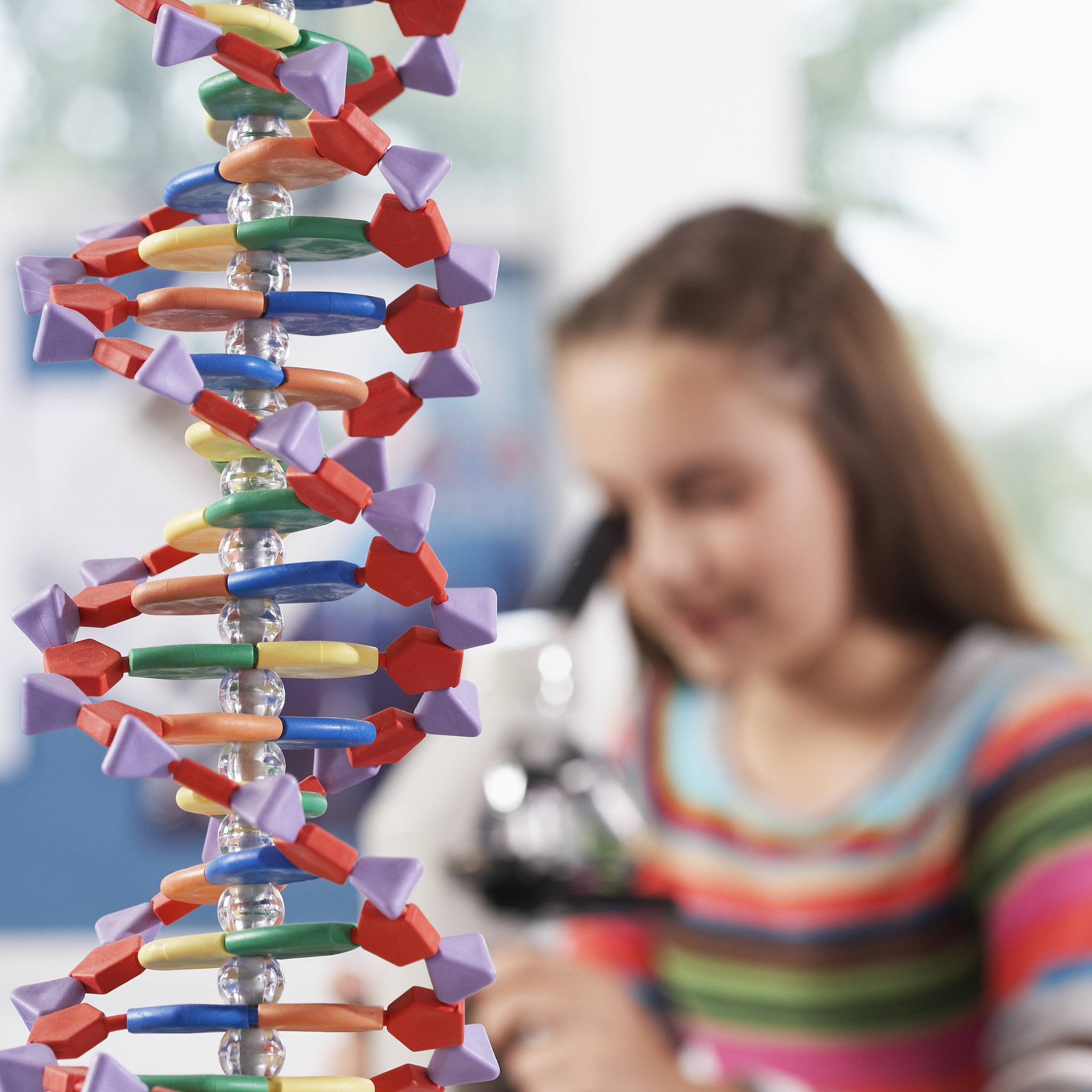 普通高中化学课程标准基本理念解析：培养科学素养与实践能力