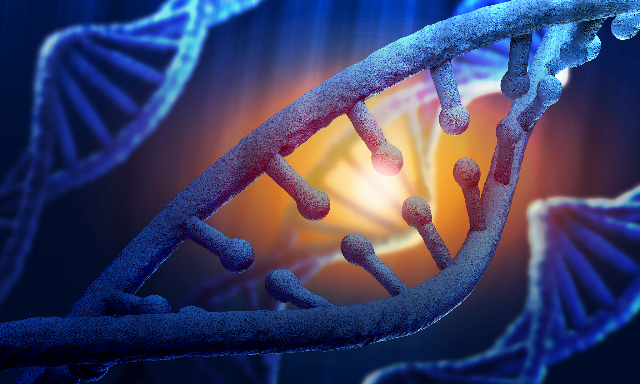 选择重庆职业学校生物化工工艺专业怎么样？