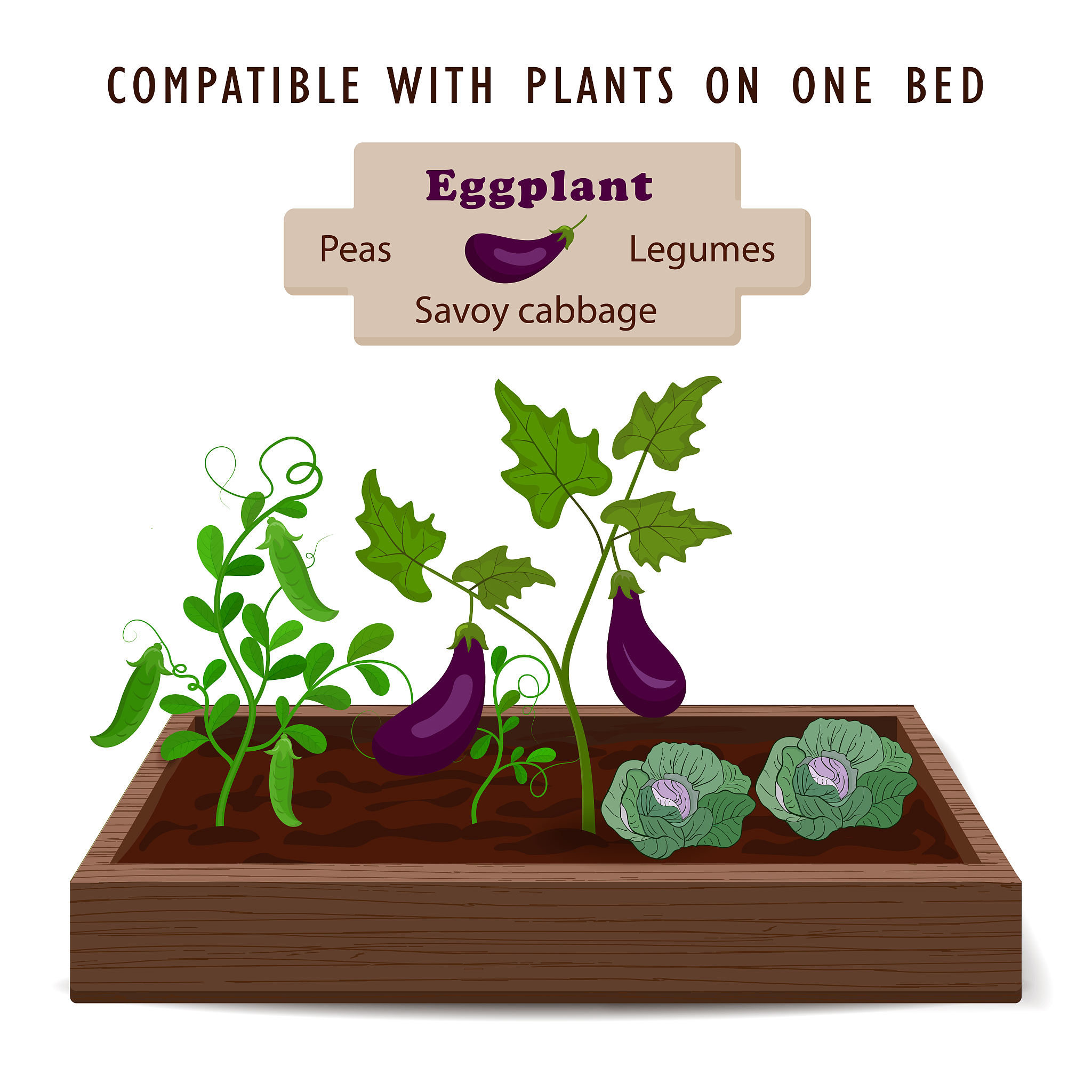 PLANT AND SOIL期刊的研究范围