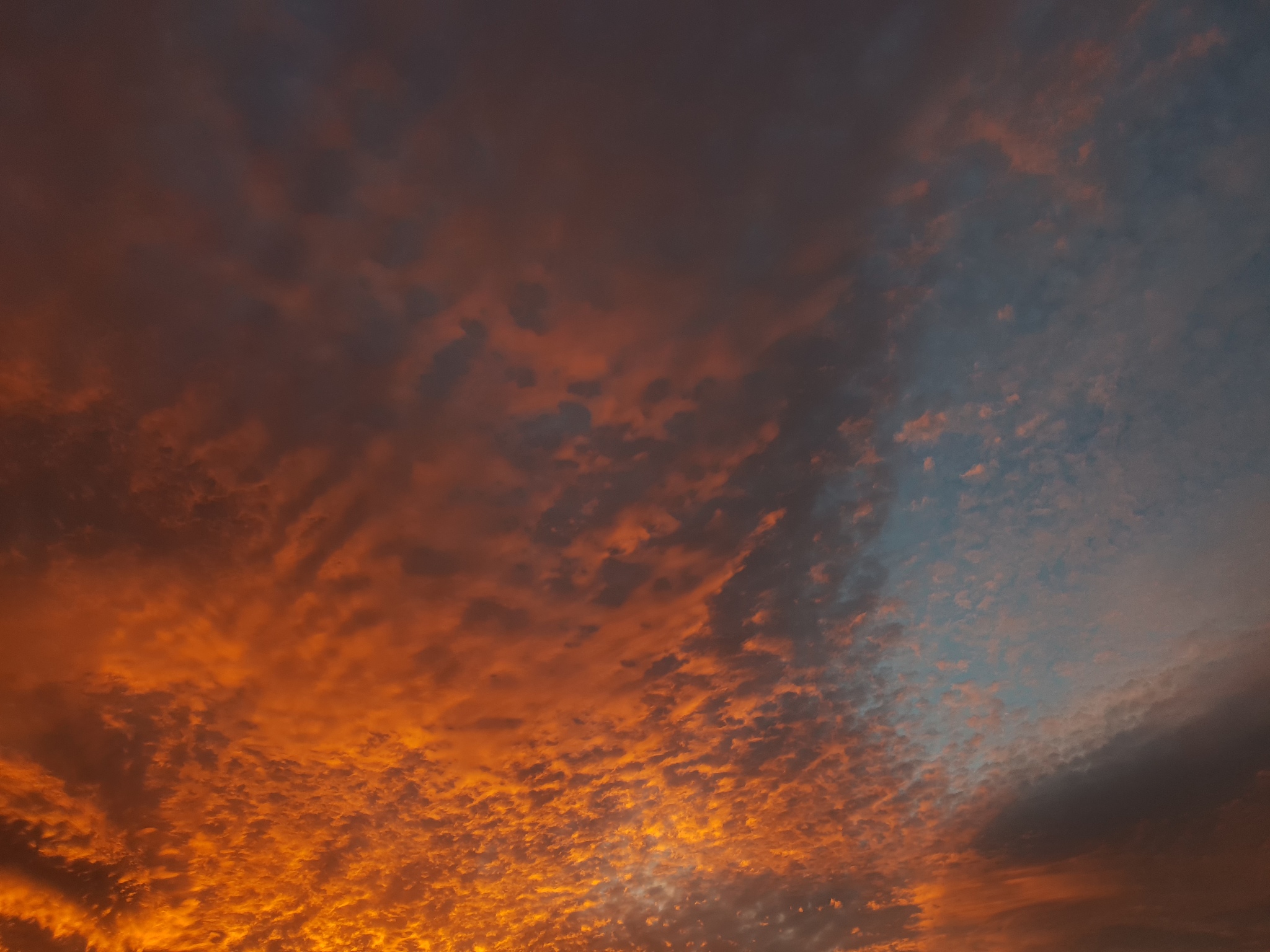 以为何倡导走出室内拥抱自然为题写一篇1000字文章