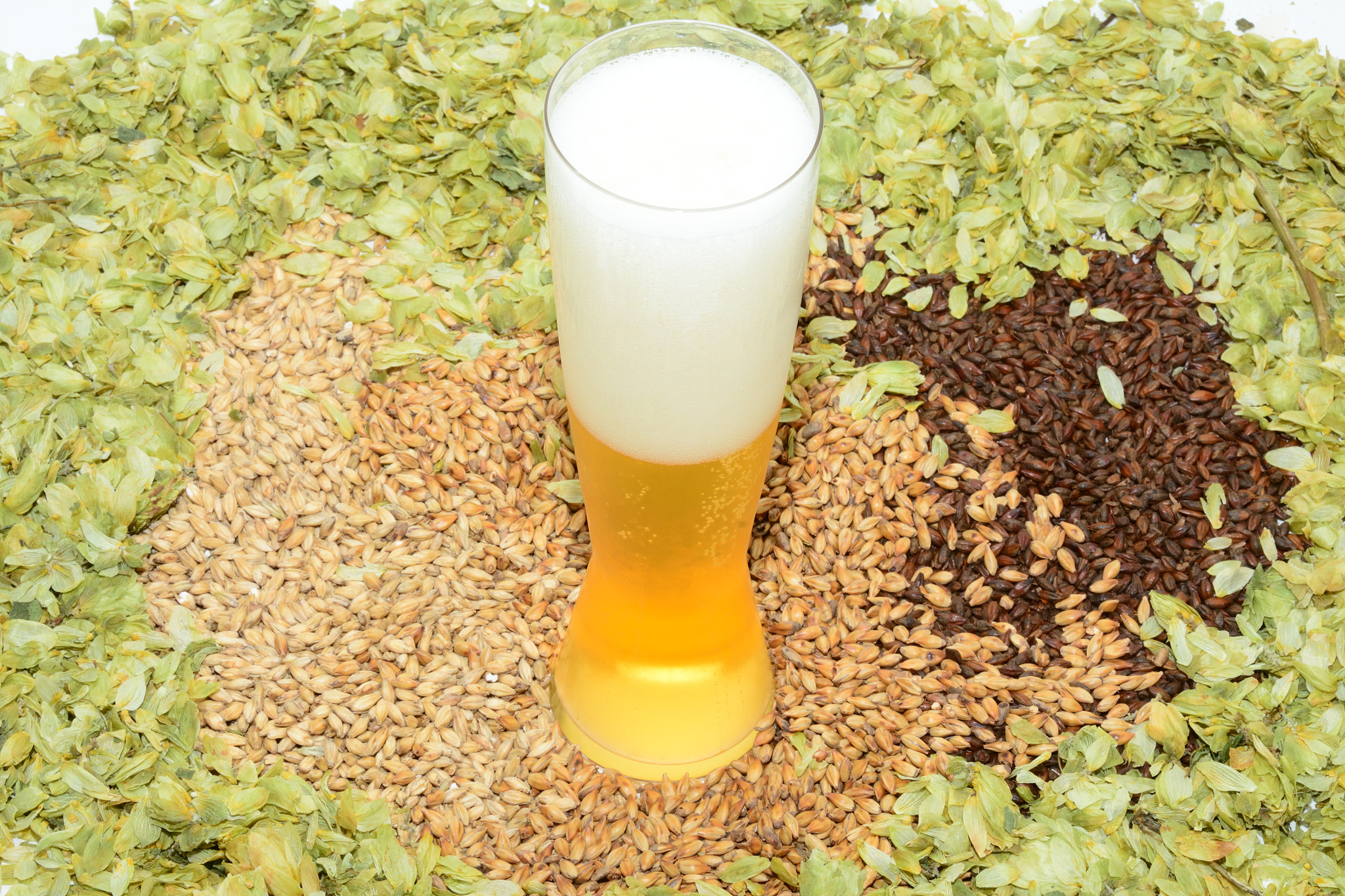 使用酒花的目的？啤酒中爽口的苦味和防腐能力主要是由酒花中的什么成分提供的？香味主要来自于哪种成分？