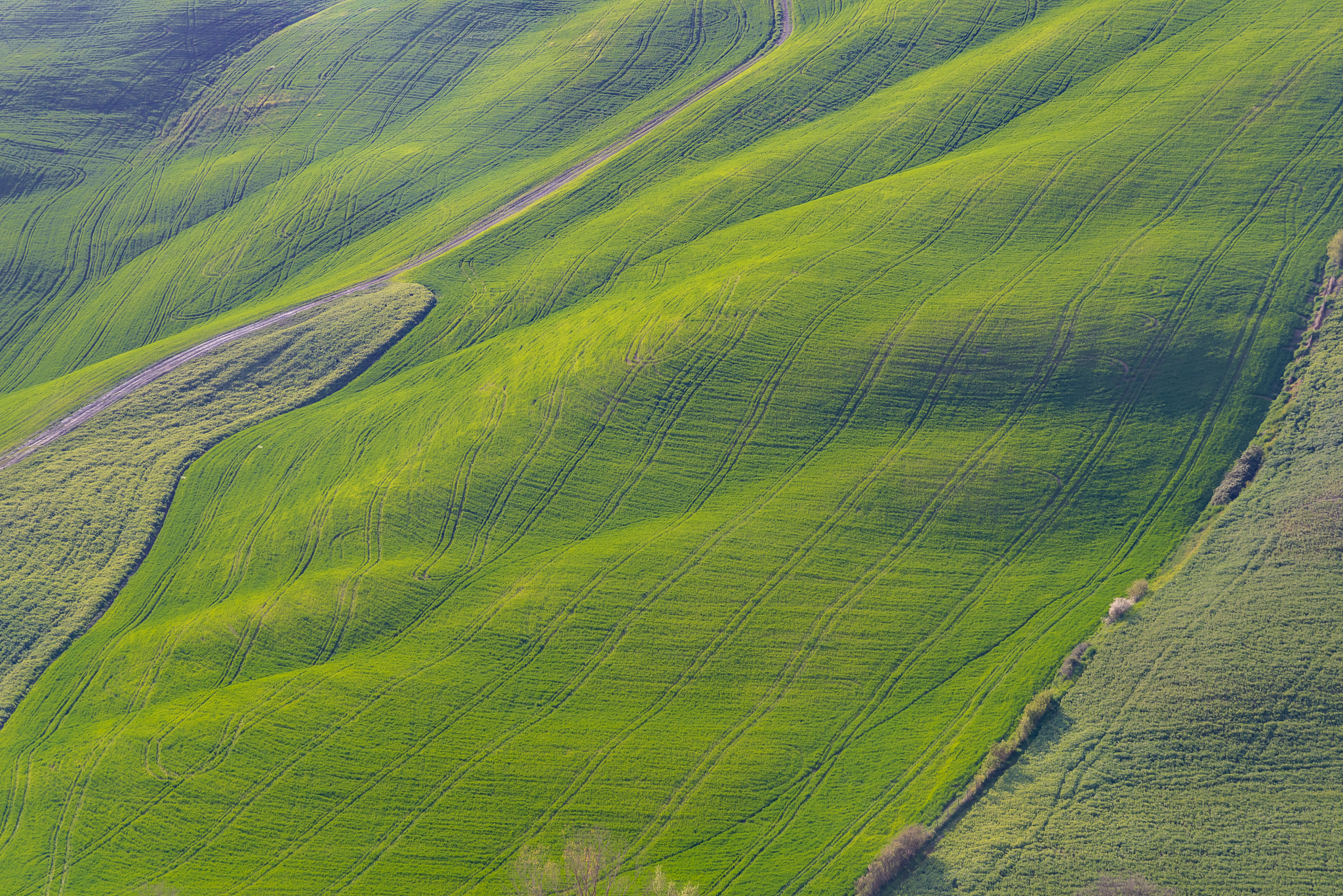 high angle view of agricultural field