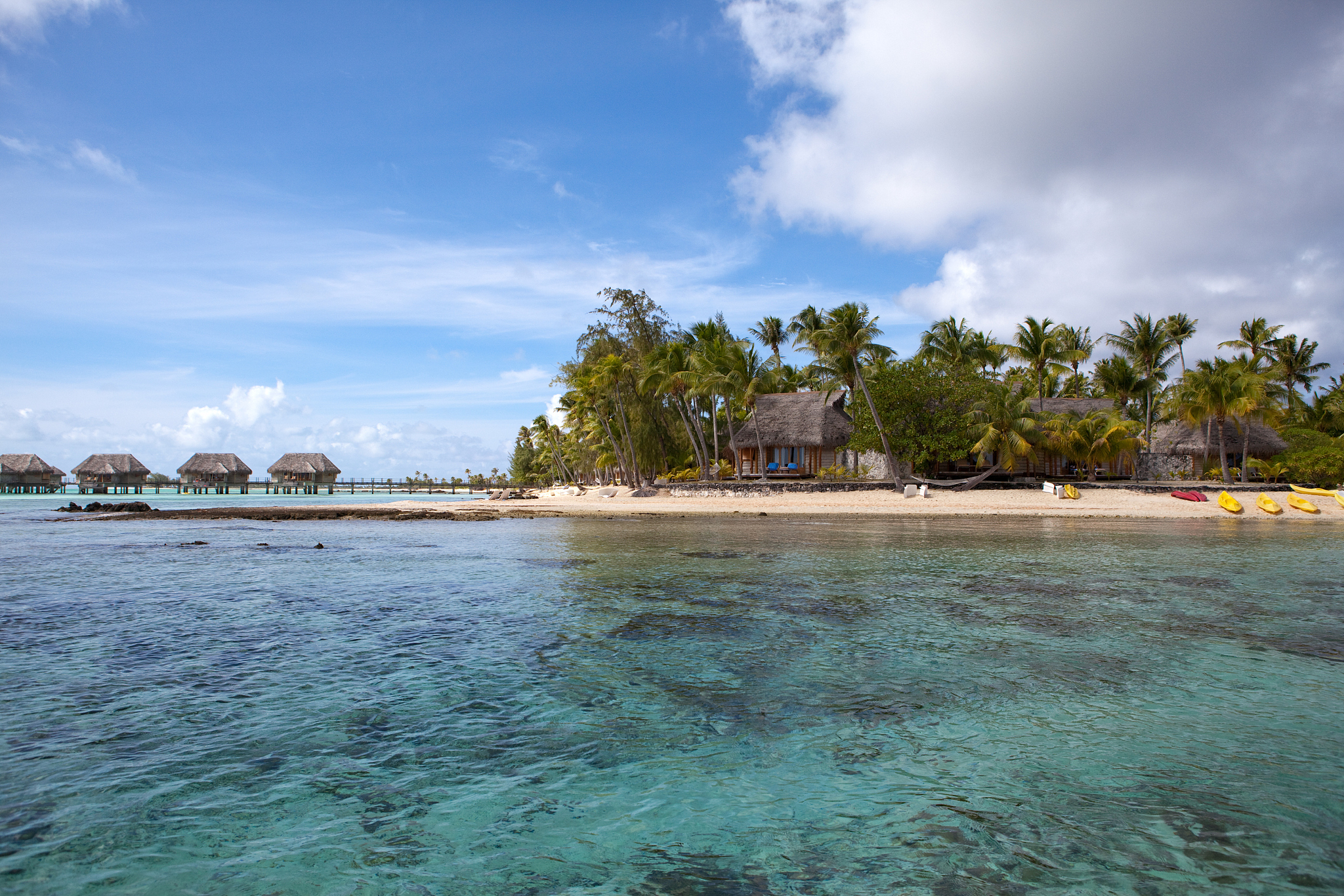 seacoast with palm trees and small houses on water.