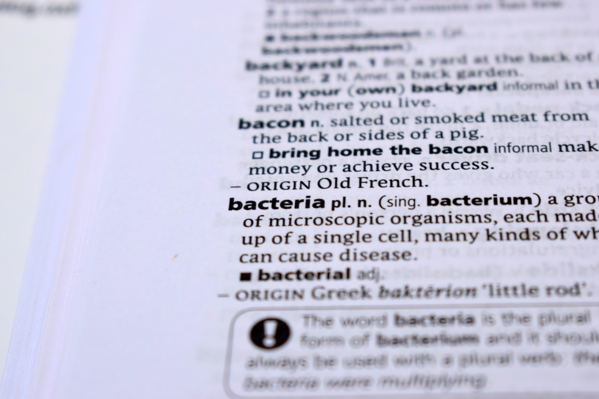 Can 'JDHMBB' Form Any English Words? A Complete List Can 'JDHMBB' Form Any English Words? A Complete List