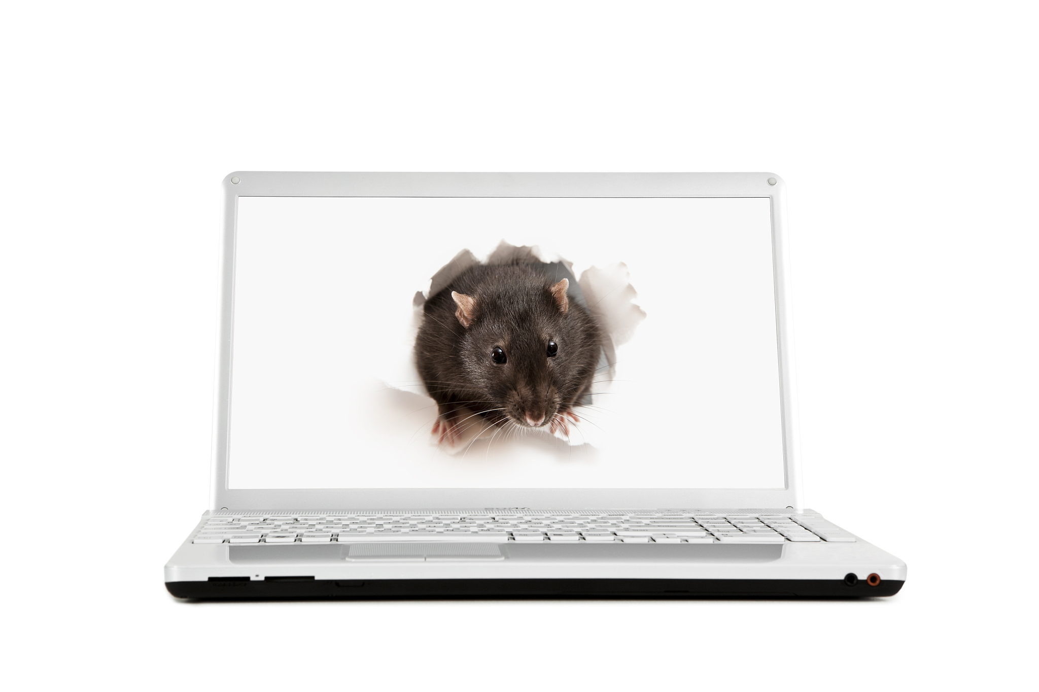 2023年荆门现代学校招生专业有哪些-好不好