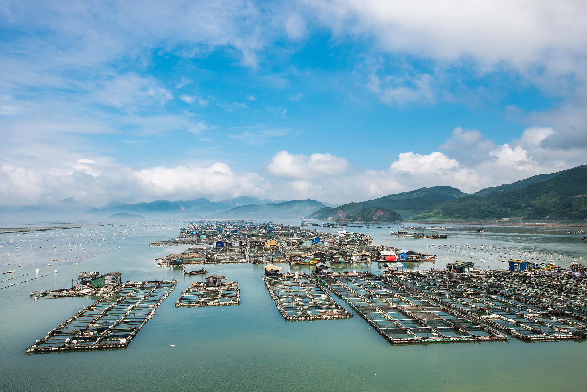 福建霞浦养殖业