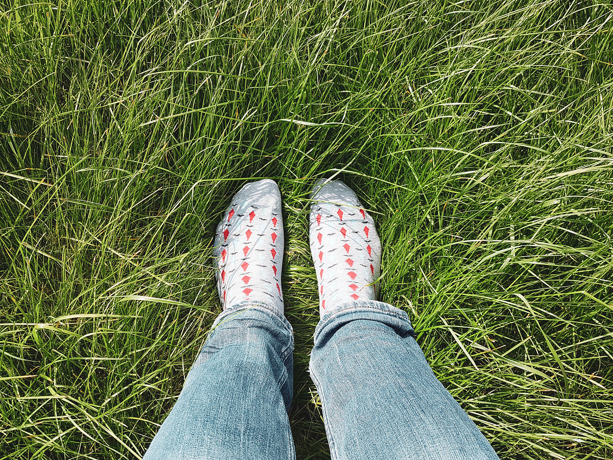 way of thinking that believed humans should live in harmony and natureIn chinese terms and its 7 words