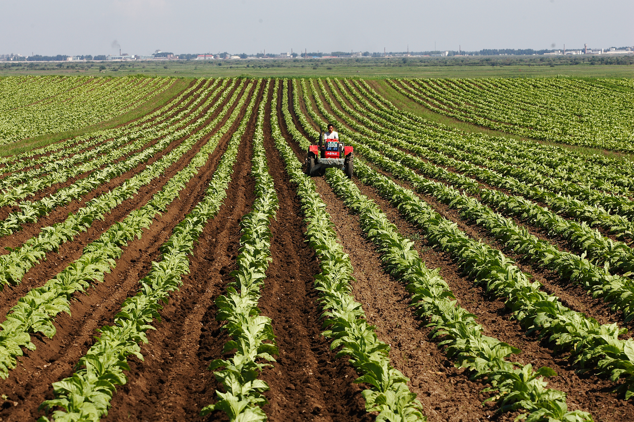 佳木斯职业学院美术教育专业怎么样