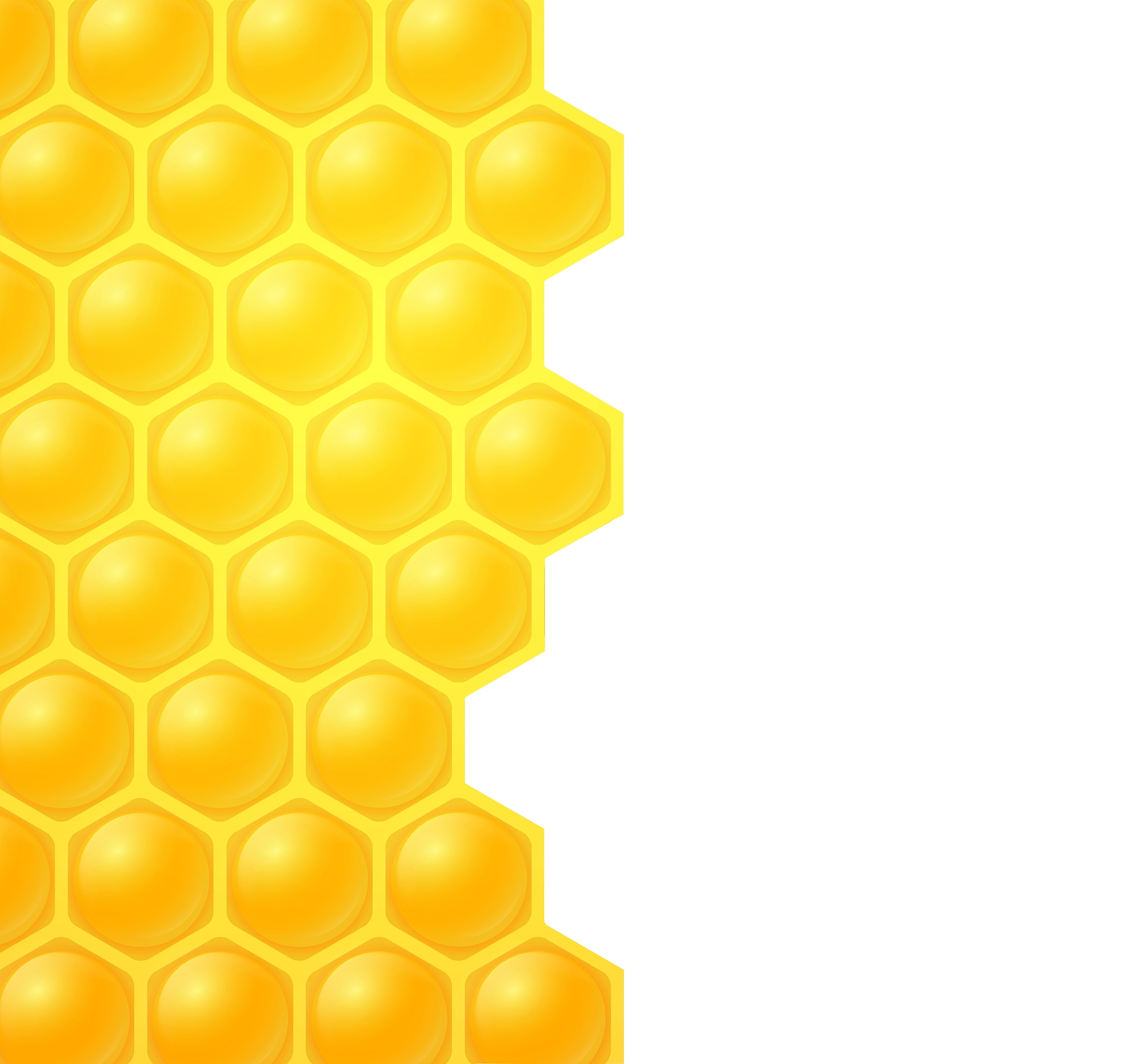 论文中简述花粉提取方法的优点