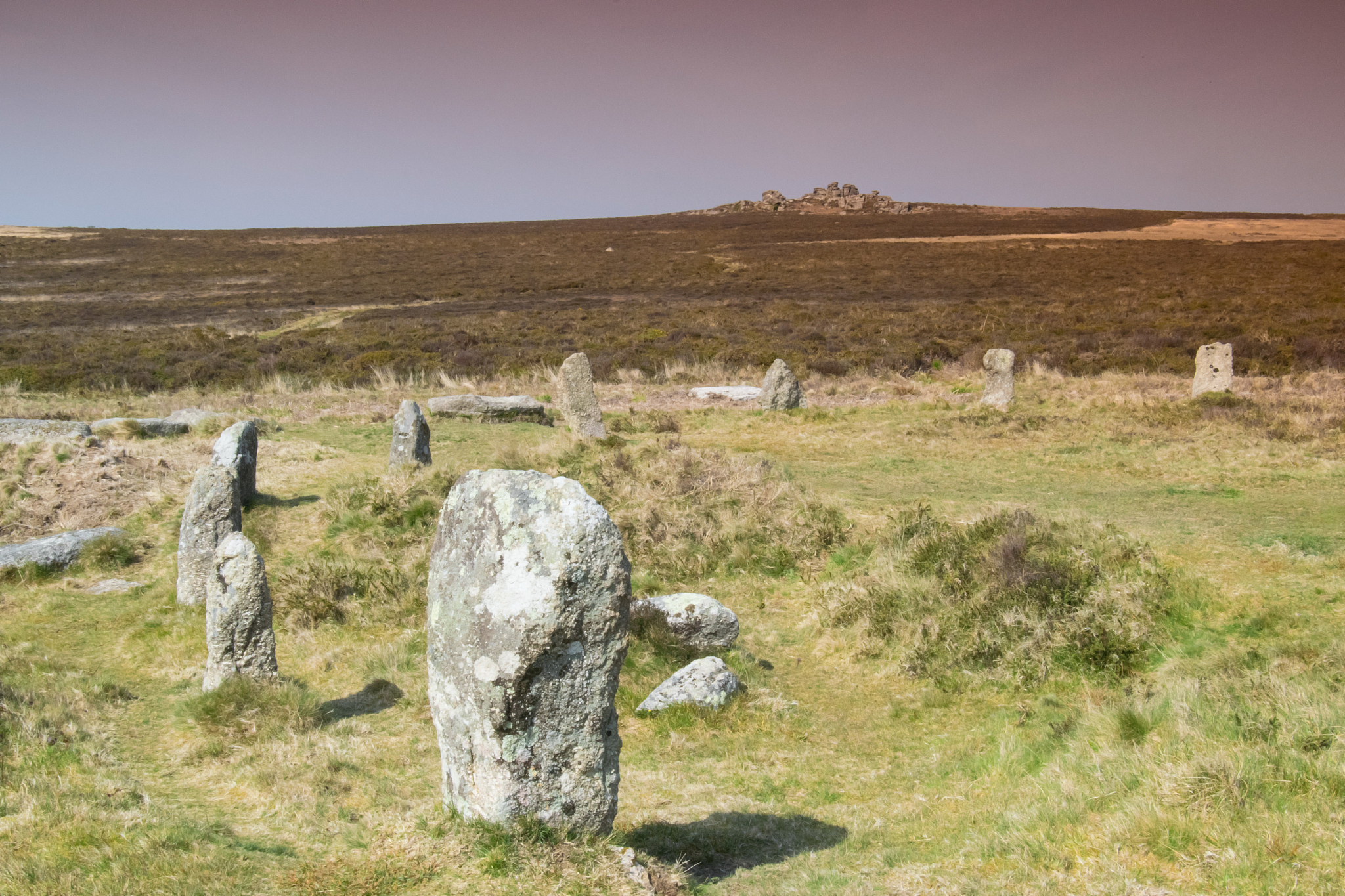 各种T细胞亚型在乙肝进程中的作用分别是什么