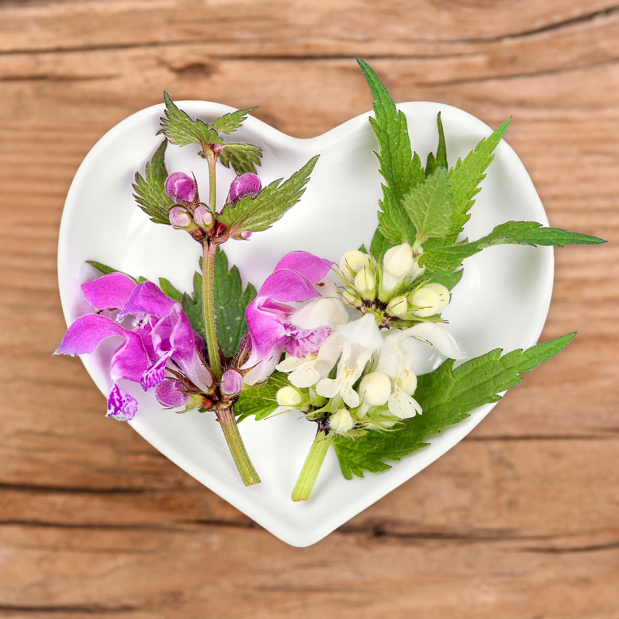 2021年重庆沙坪坝区卫校热门专业推荐：护理、医学影像、医学实验