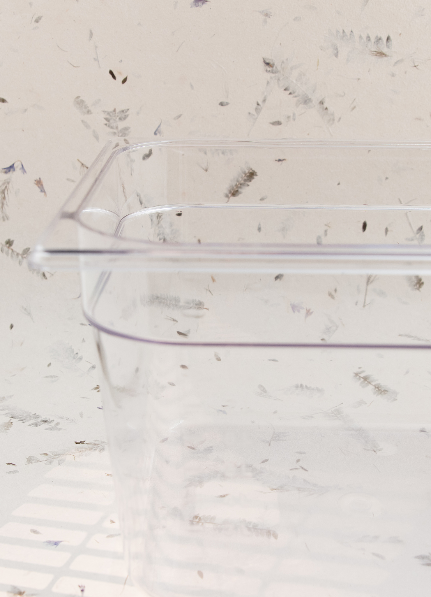 以拉肚子为话题写一篇记叙文讲述我自以为肠胃功能好为考验肠道忍耐力喝不干净的发臭的河水拉肚子一星期中间喝冰牛奶吃油腻食物症状加重拉肚子拉的全是黄稀水和食物残渣肚子还咕咕叫的经历