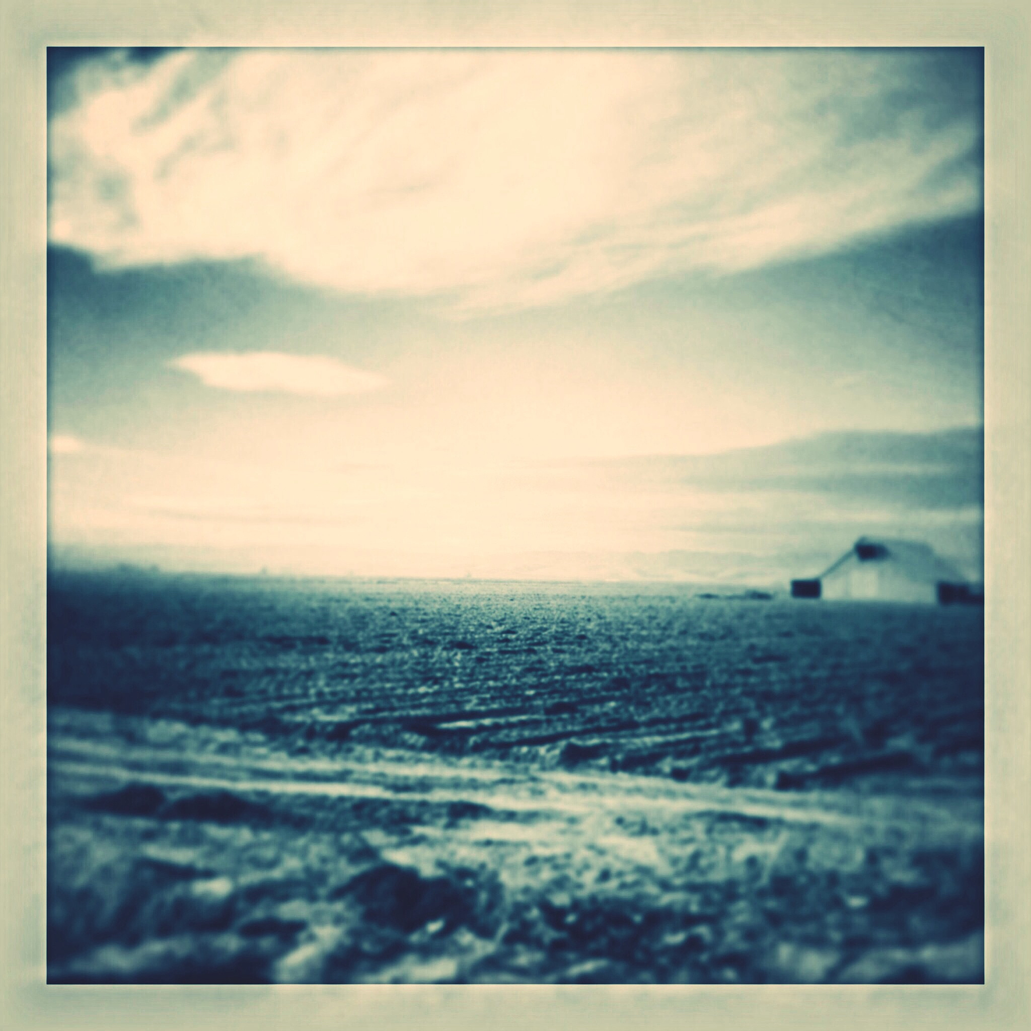 帮我写一首流行民谣歌曲主题与去看海有关风格类似于房东的猫情感偏伤感并且附带弹唱用的和弦节奏型C调