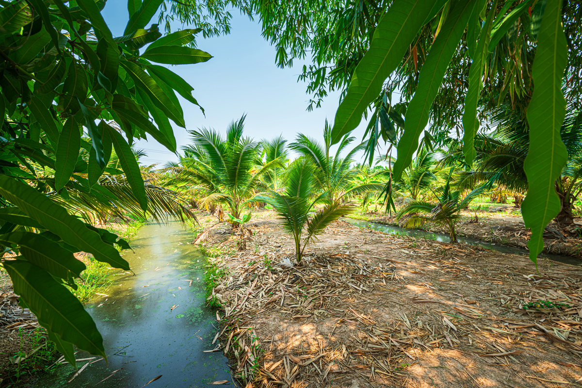 椰子鞋清洗指南：步骤、注意事项和技巧