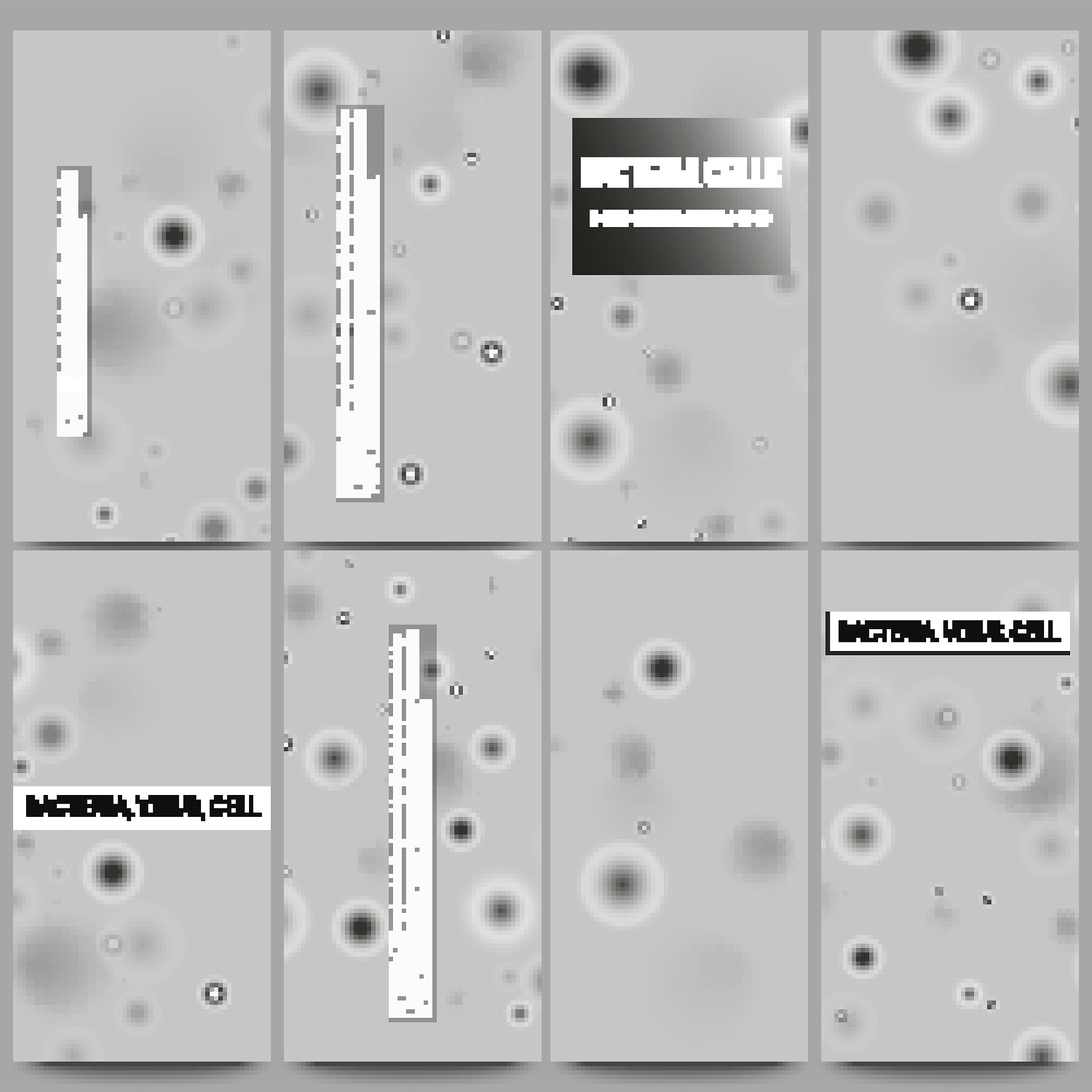 细度模数计算公式：详解及应用 | dtex和denier换算
