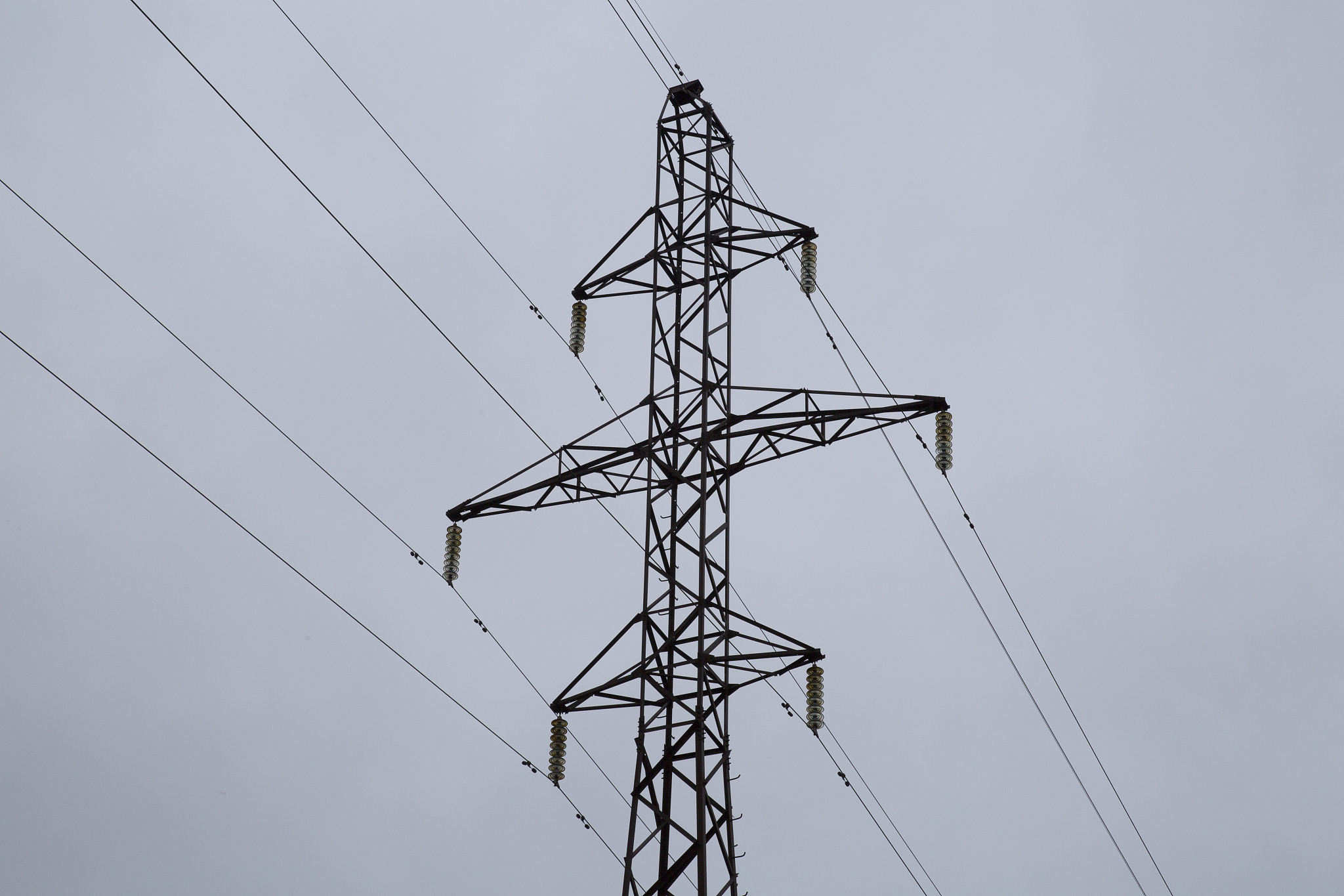 2020上海市公用事业学校招生简章