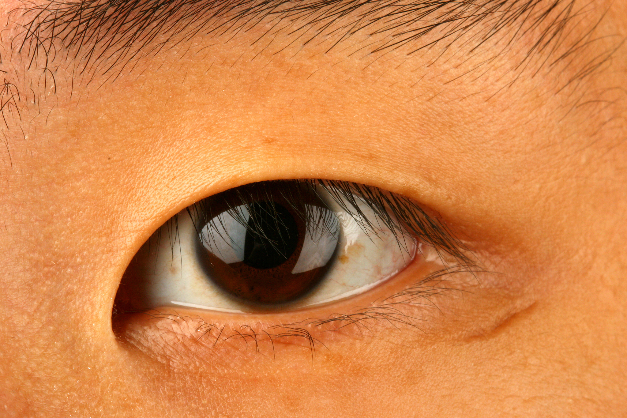 close-up of asian eye