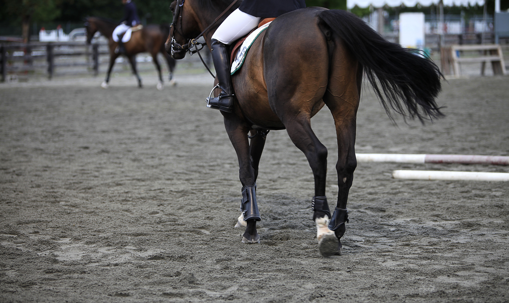 horse competition