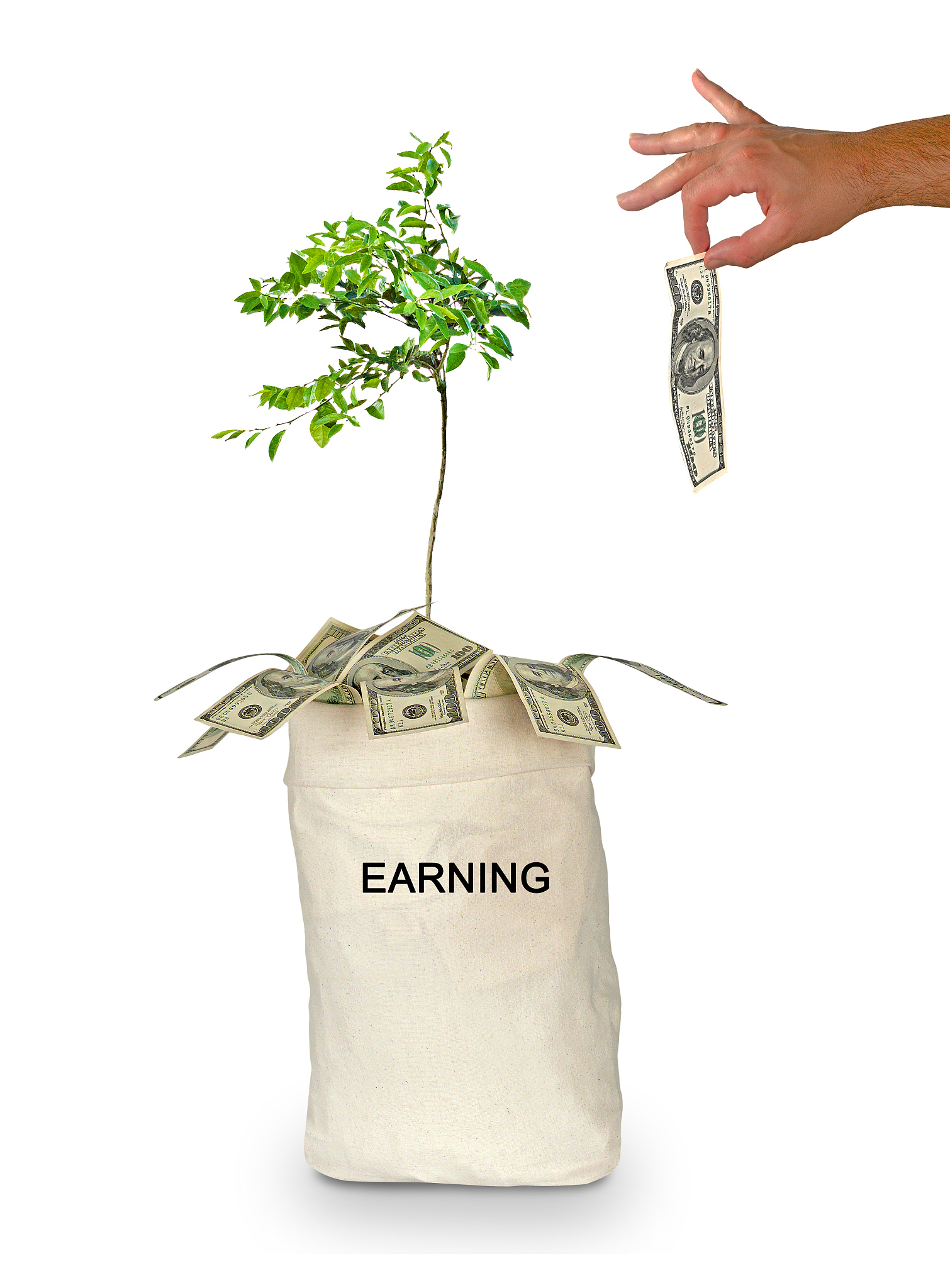 江西省生产区域分析：农业、工业、服务业分布及主要产区