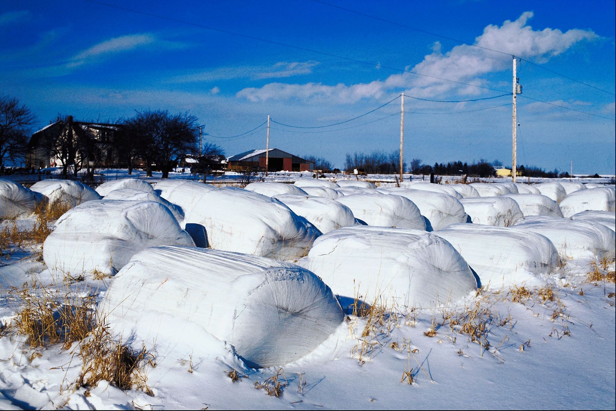 润色下面这个句子：Here we address this view with a 6-yr field experiment in the North China Plains annual winter wheat and summer maize rotation system