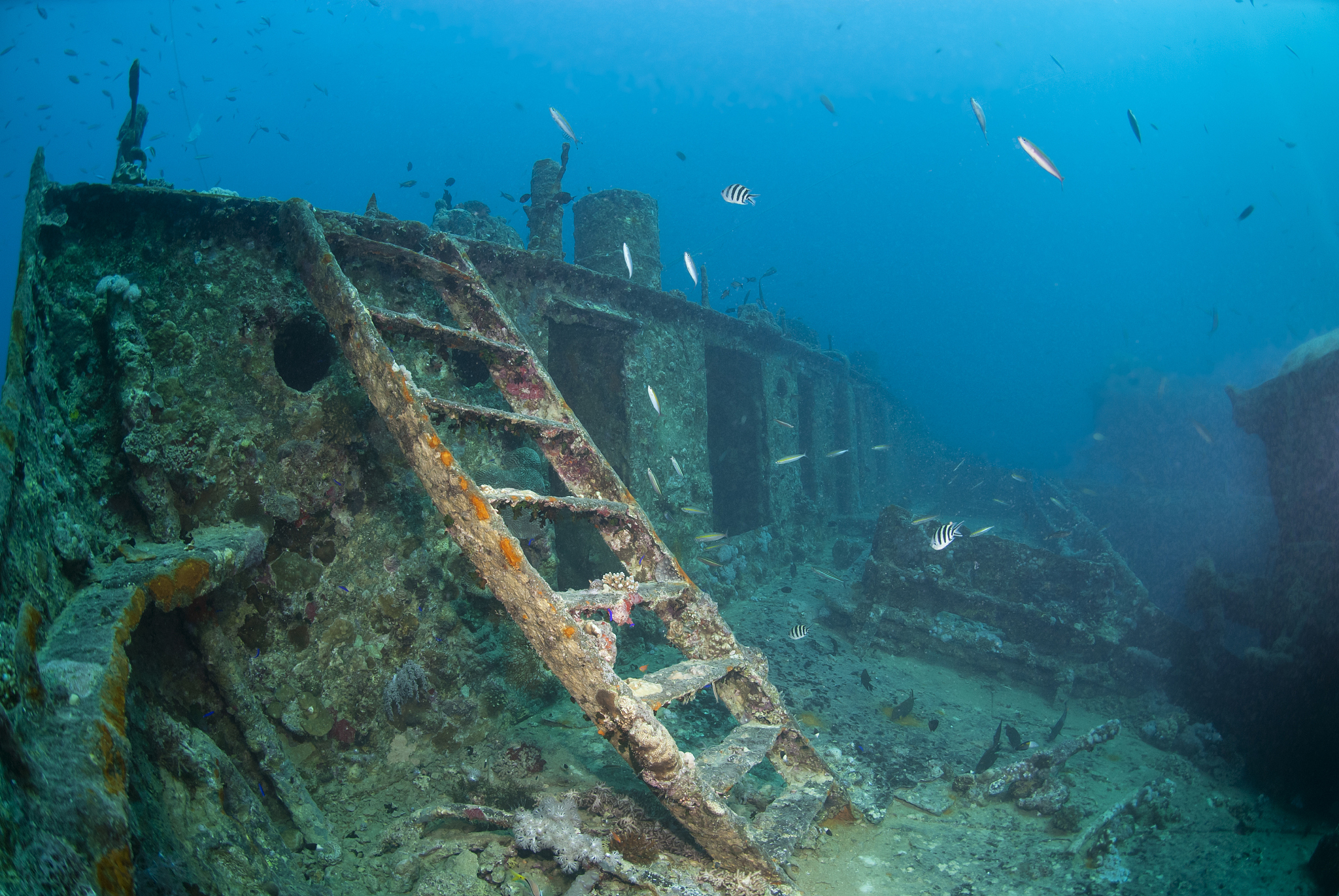 ladder leading to the bow deck of ashipwreck