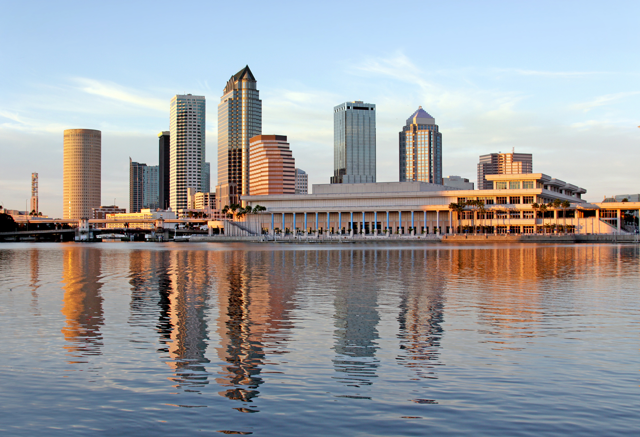 modern architecture in downtown tampa, florida usa