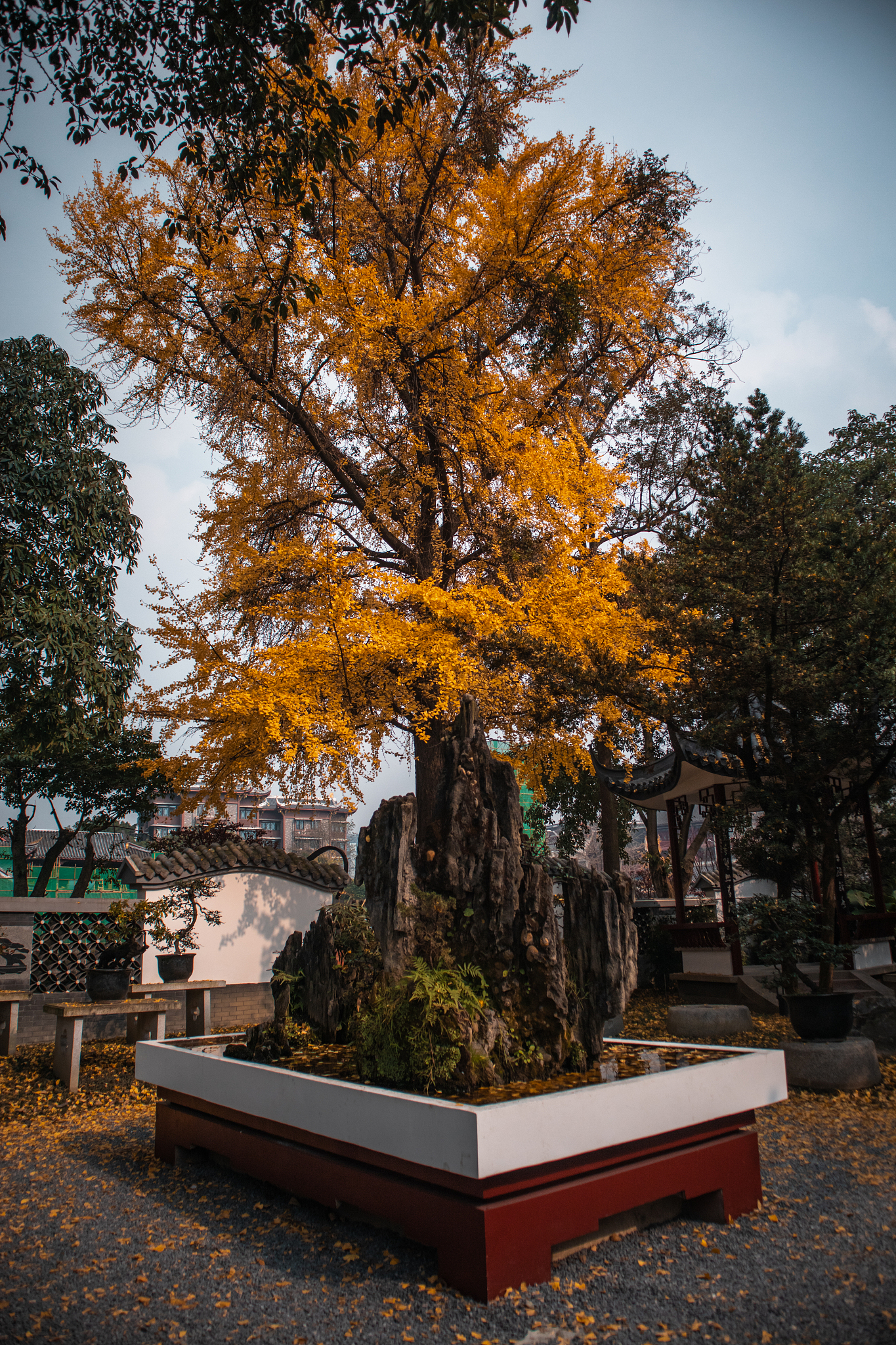 成都中专学校排名-成都比较好的中专学校推荐