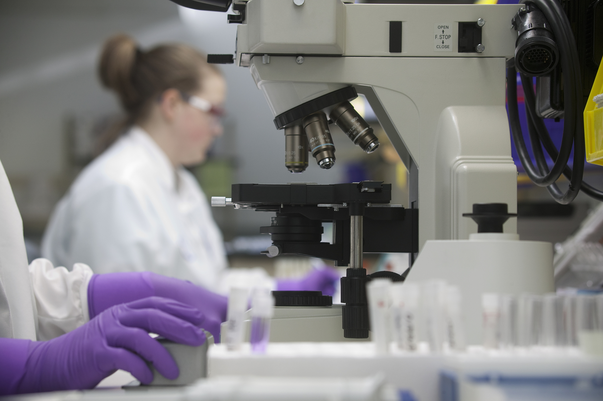 AGING CELL期刊详细简介